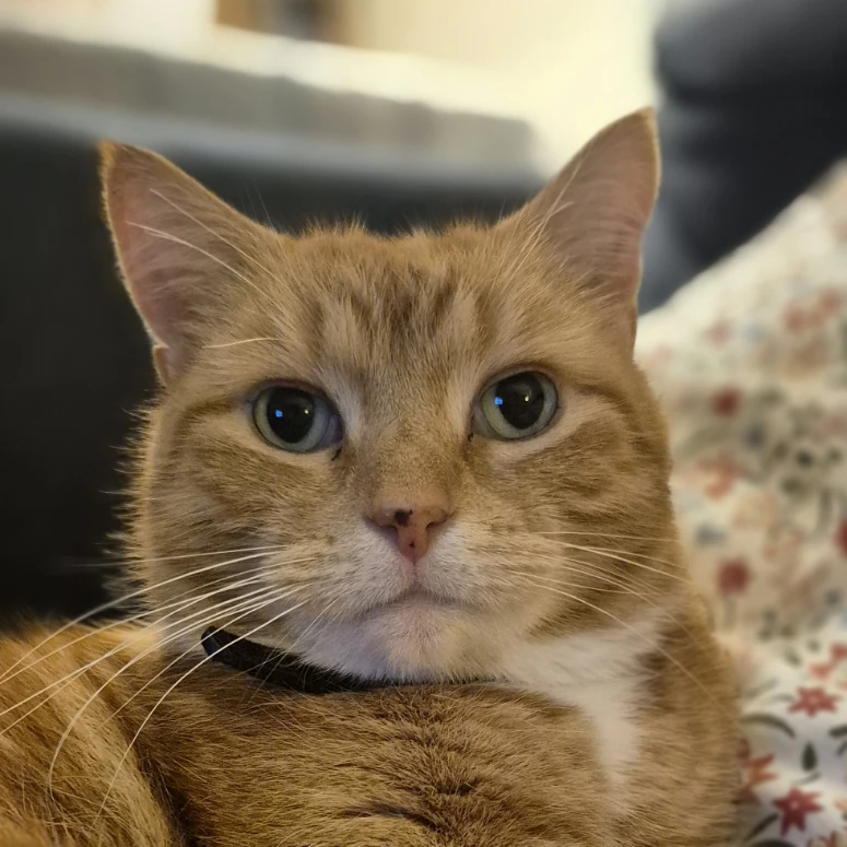 Monty