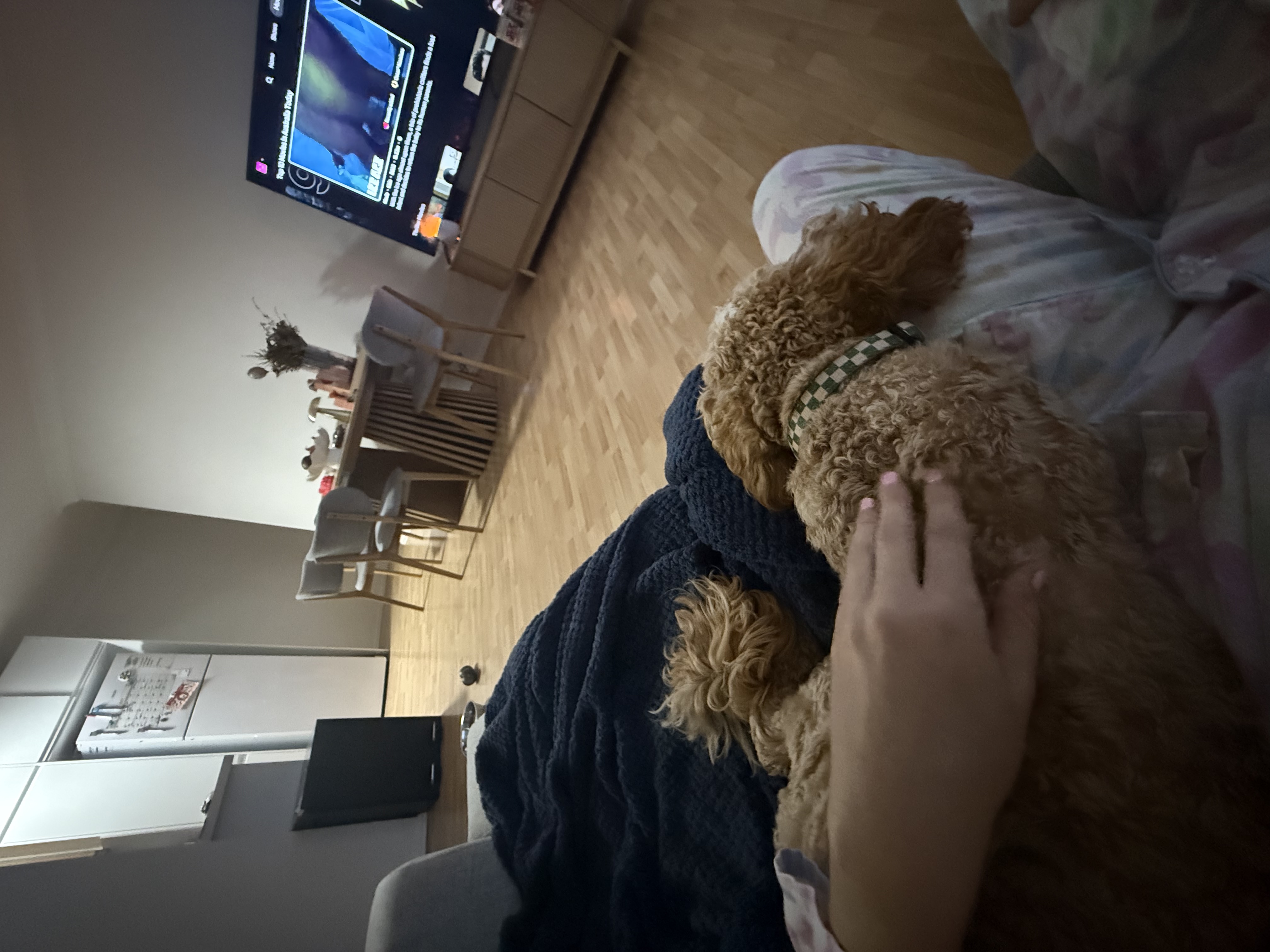 image-10