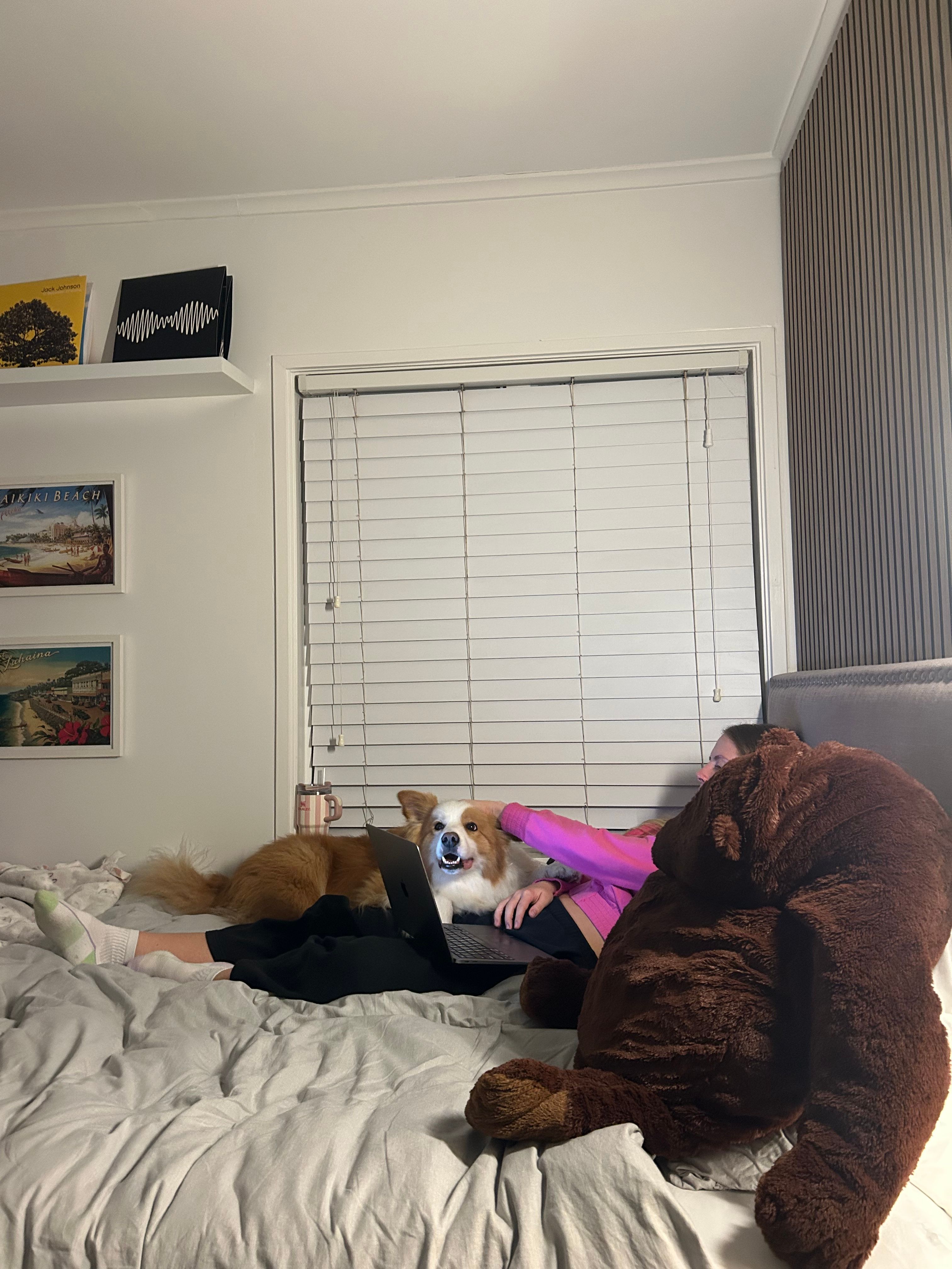 image-7