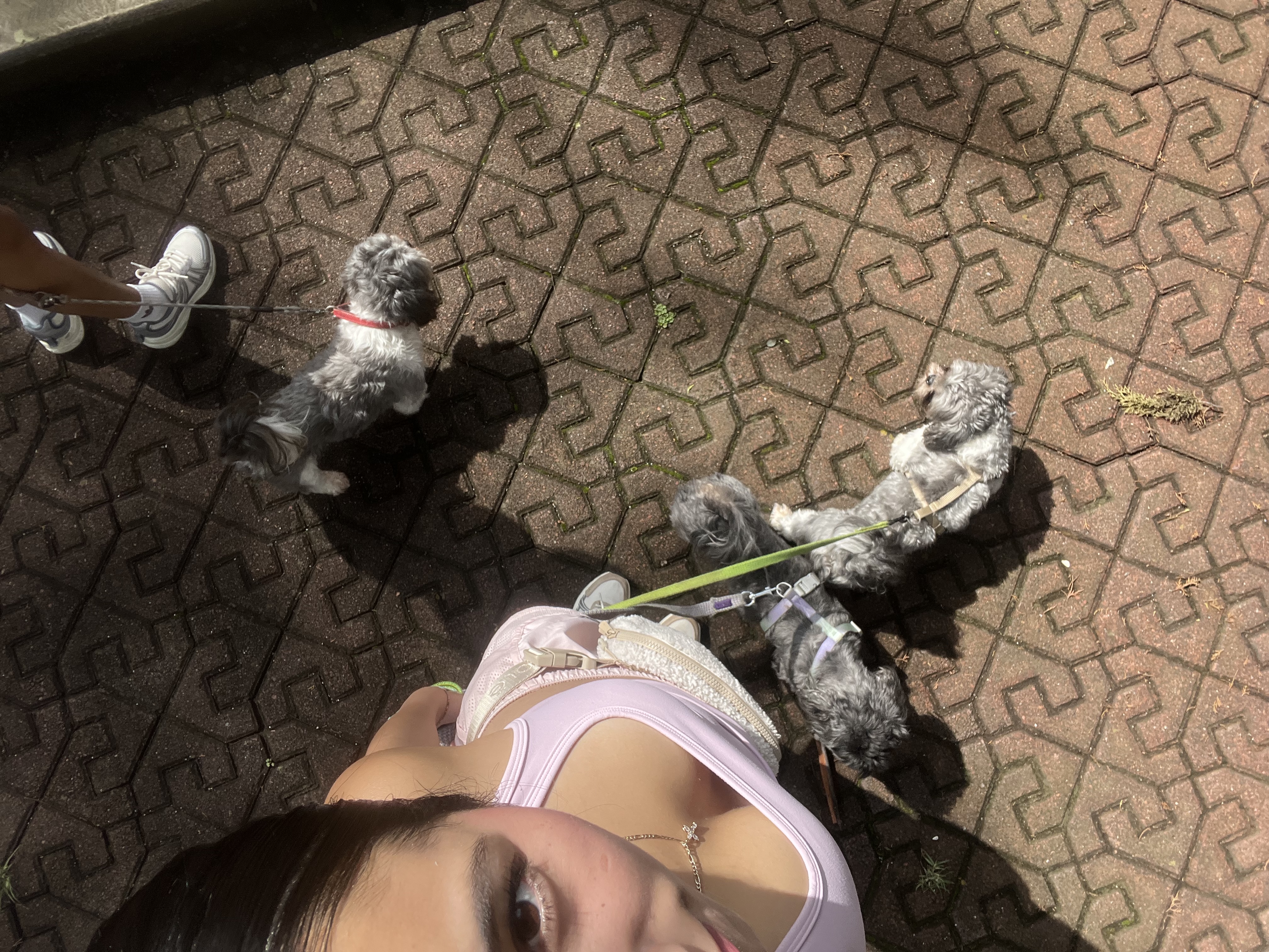 image-16