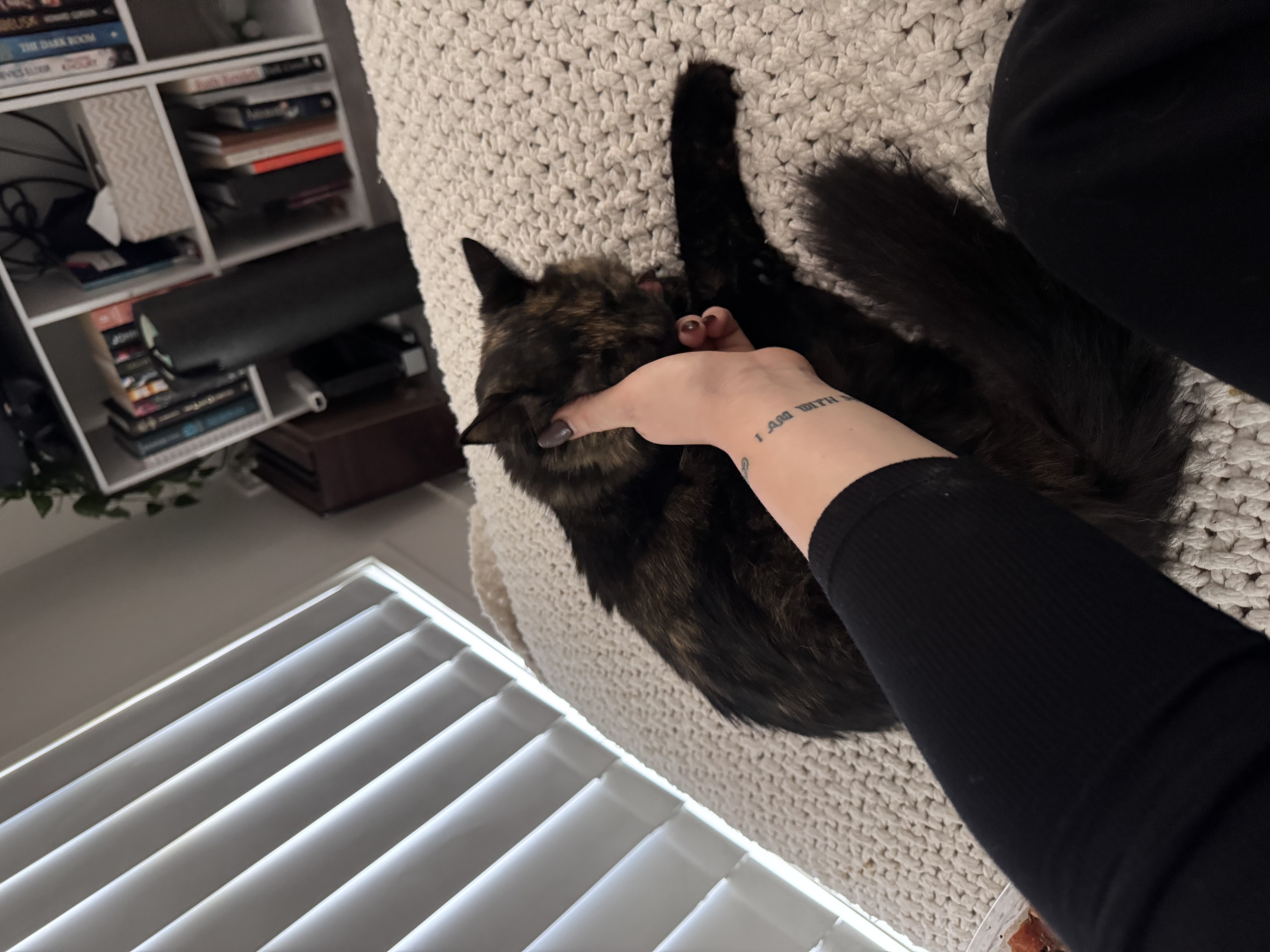 image-9