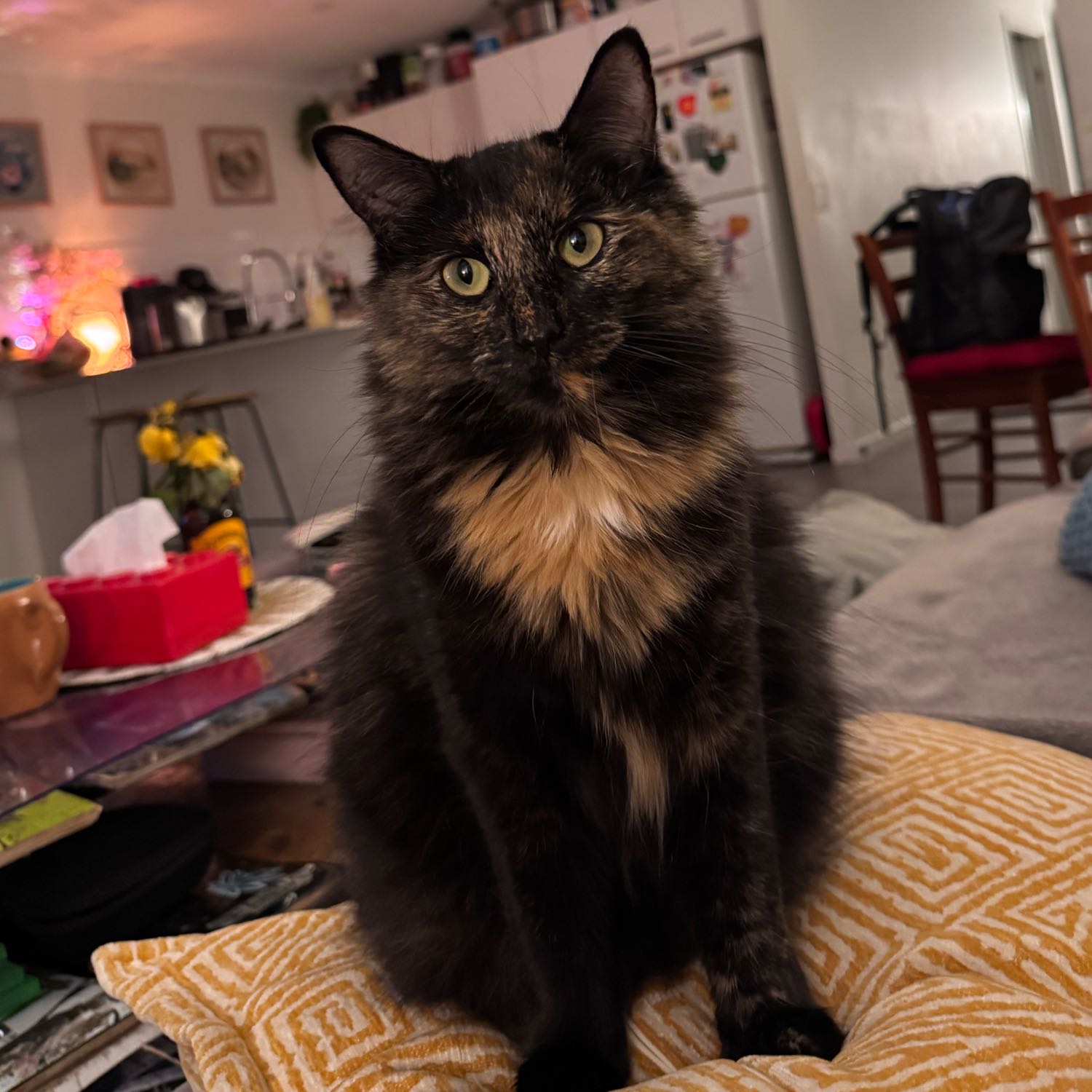 Coco