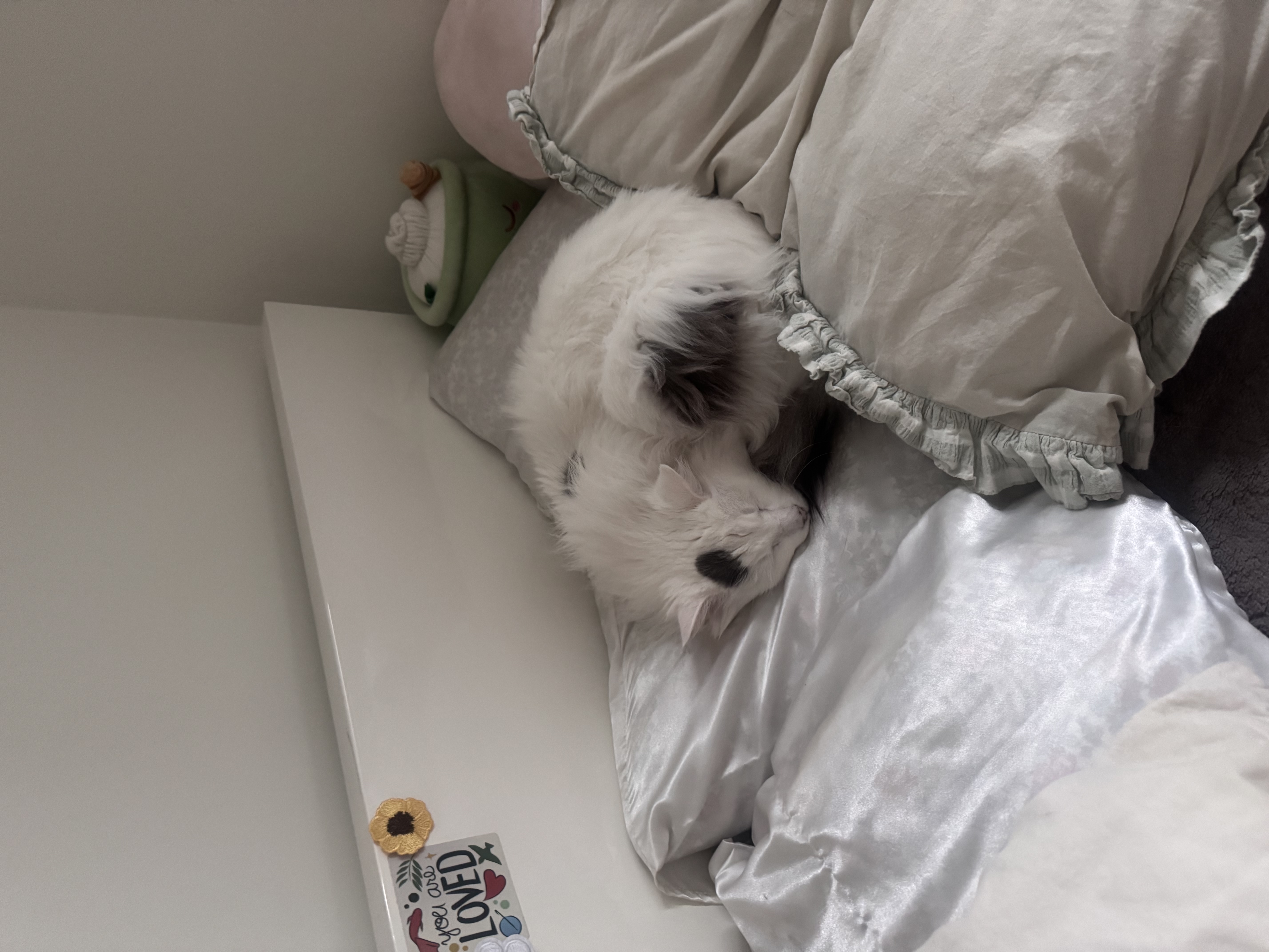 image-10