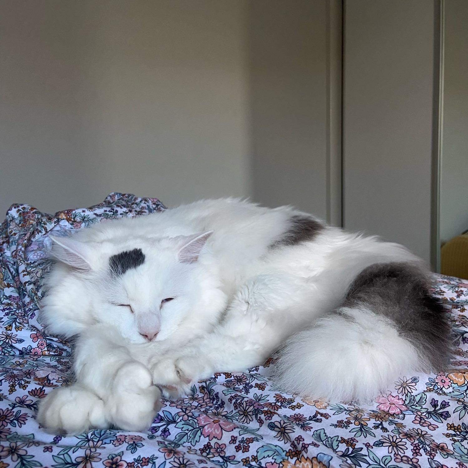 Max
