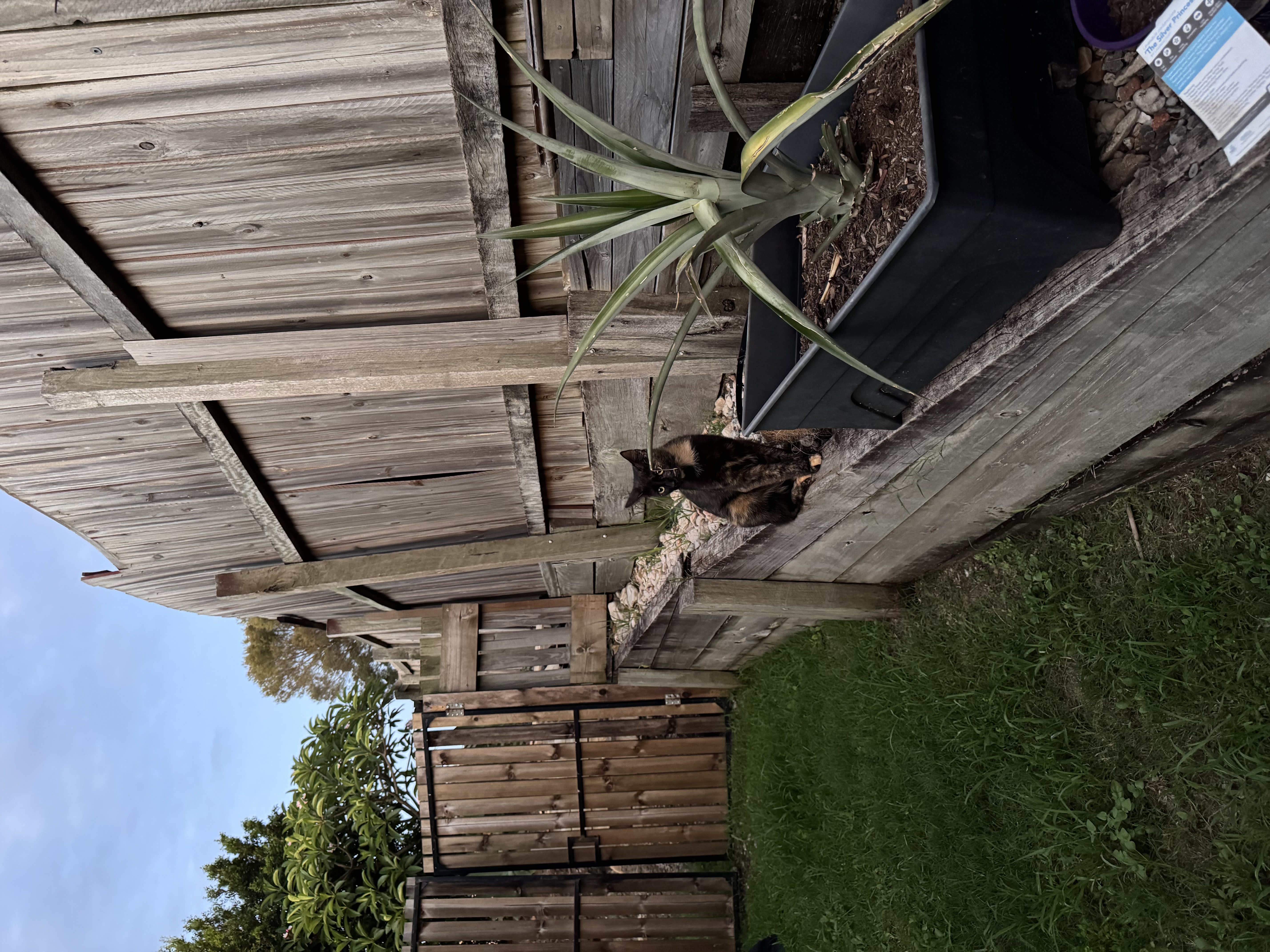 image-28