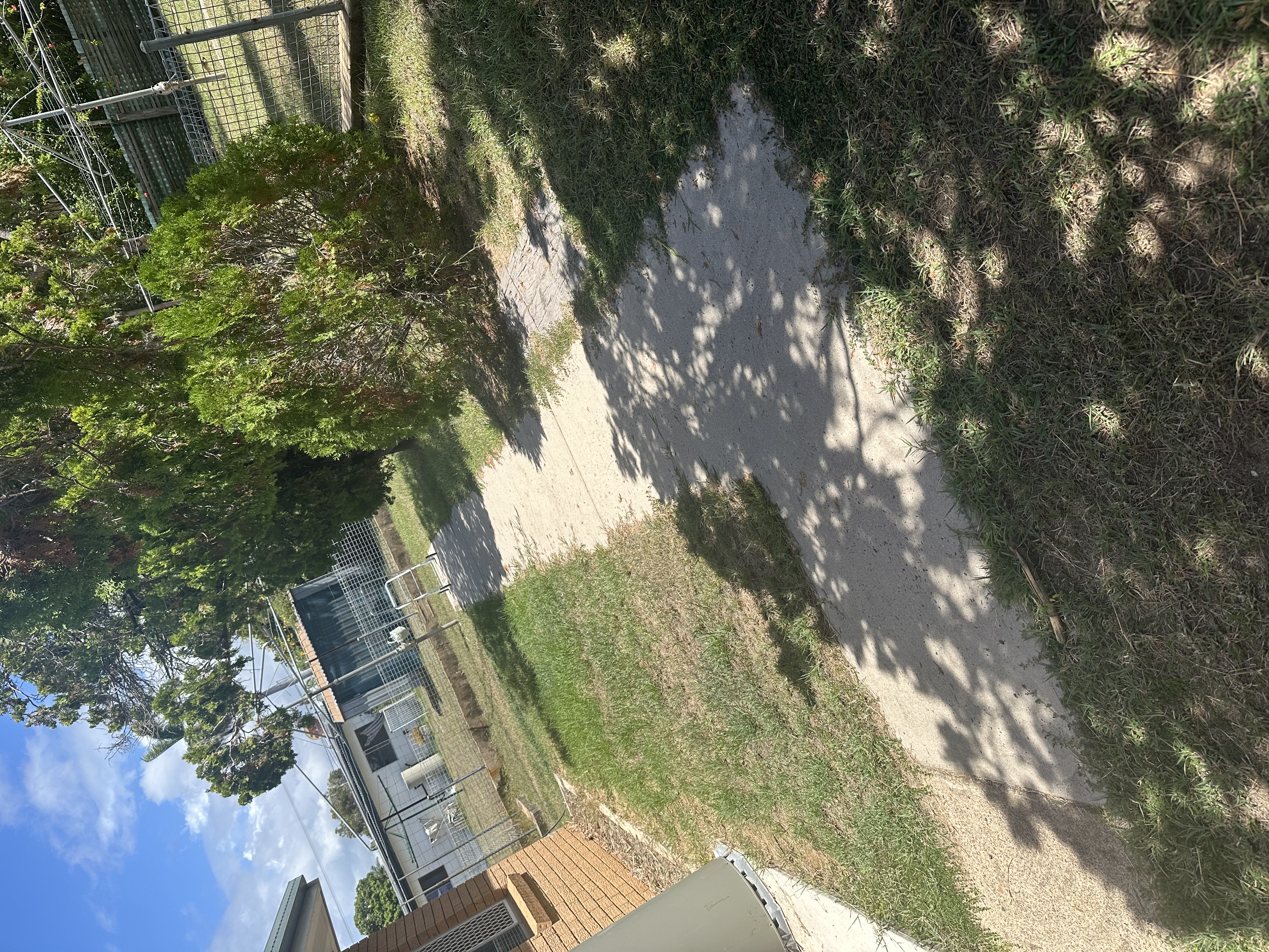 image-18