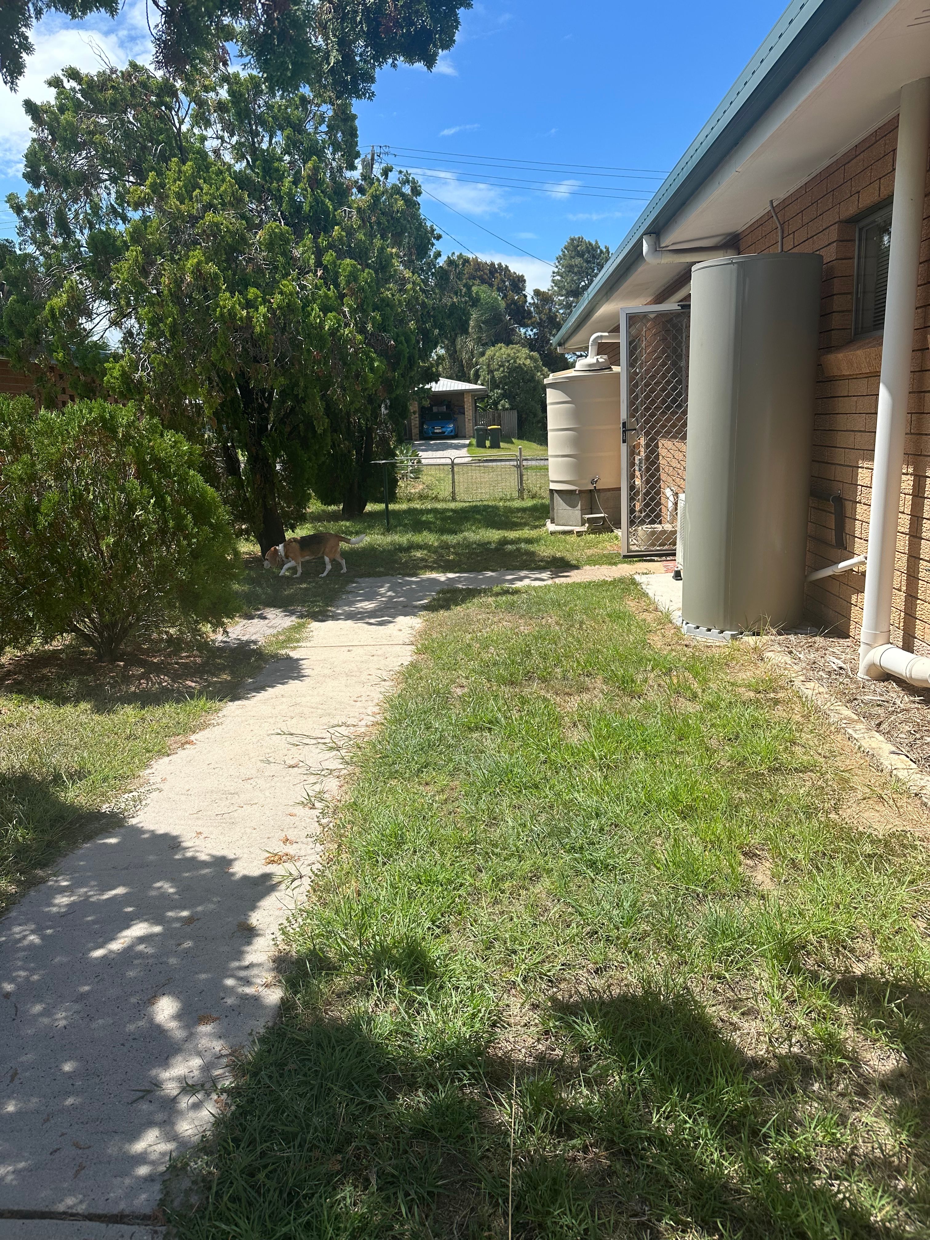 image-19