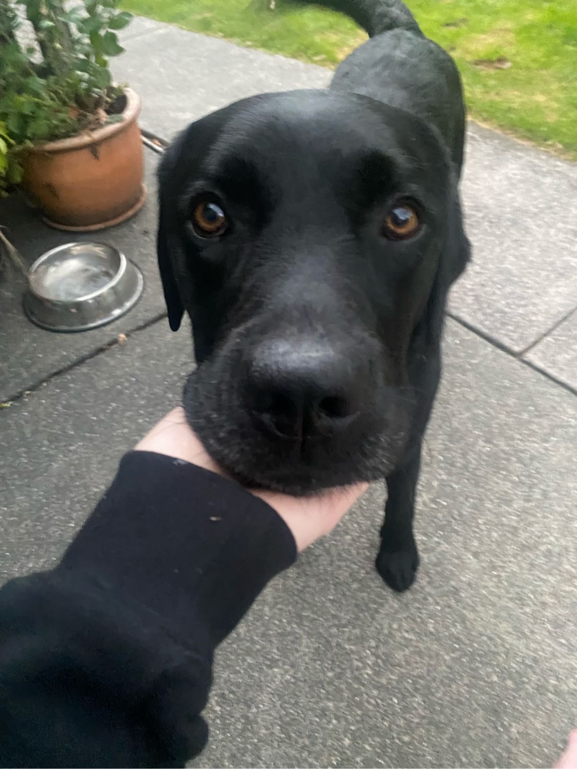image-28