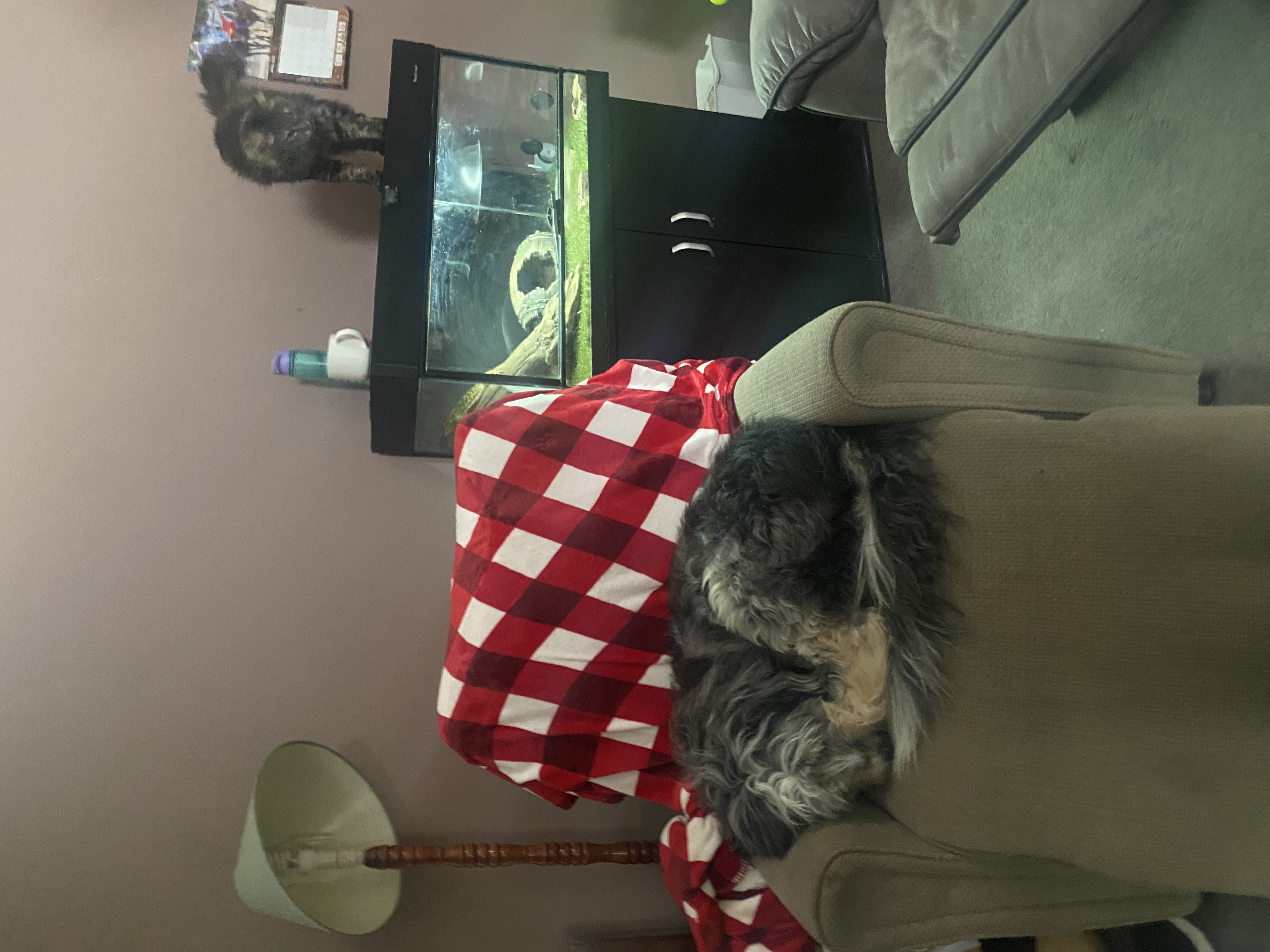image-44