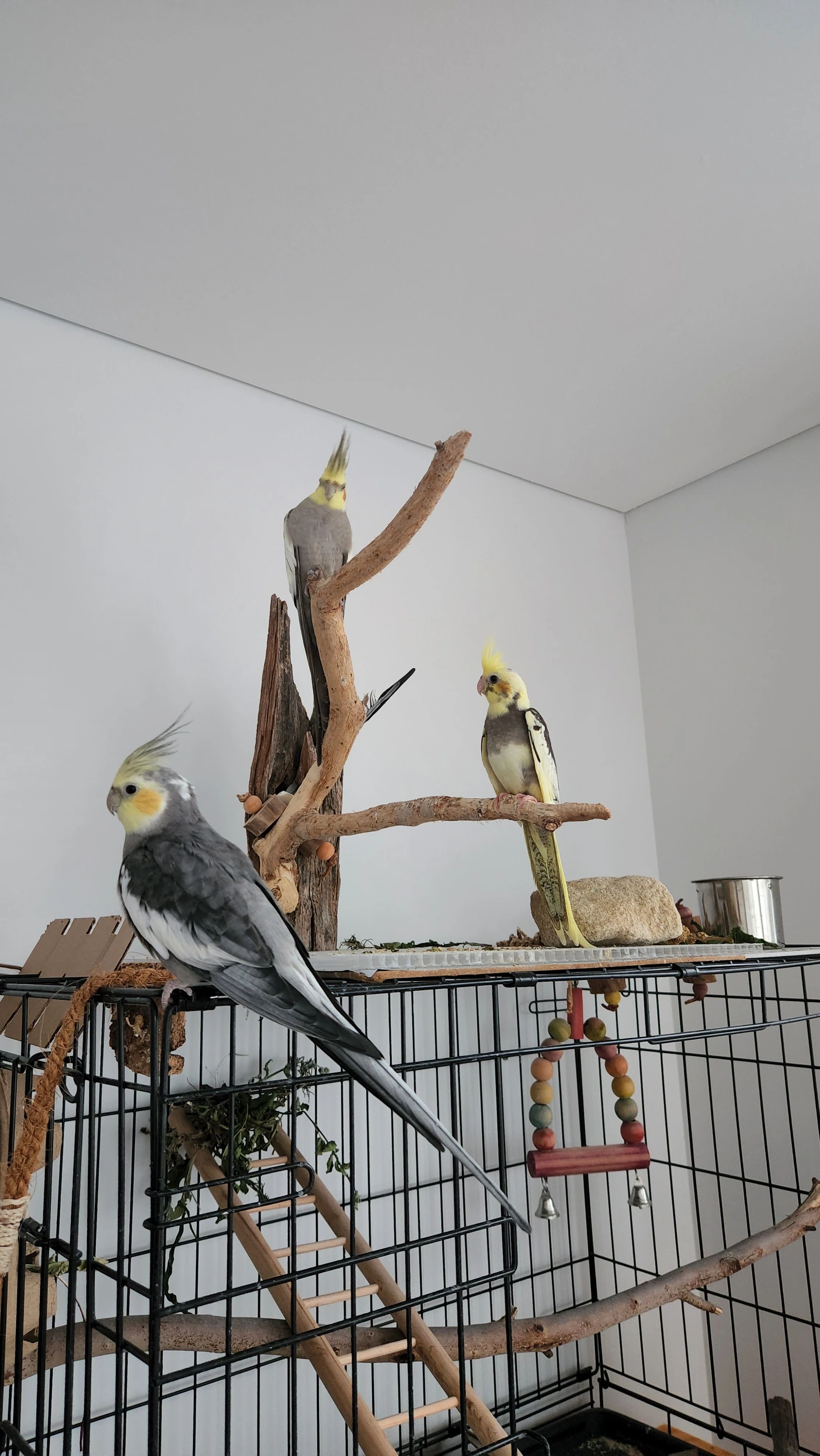 image-12