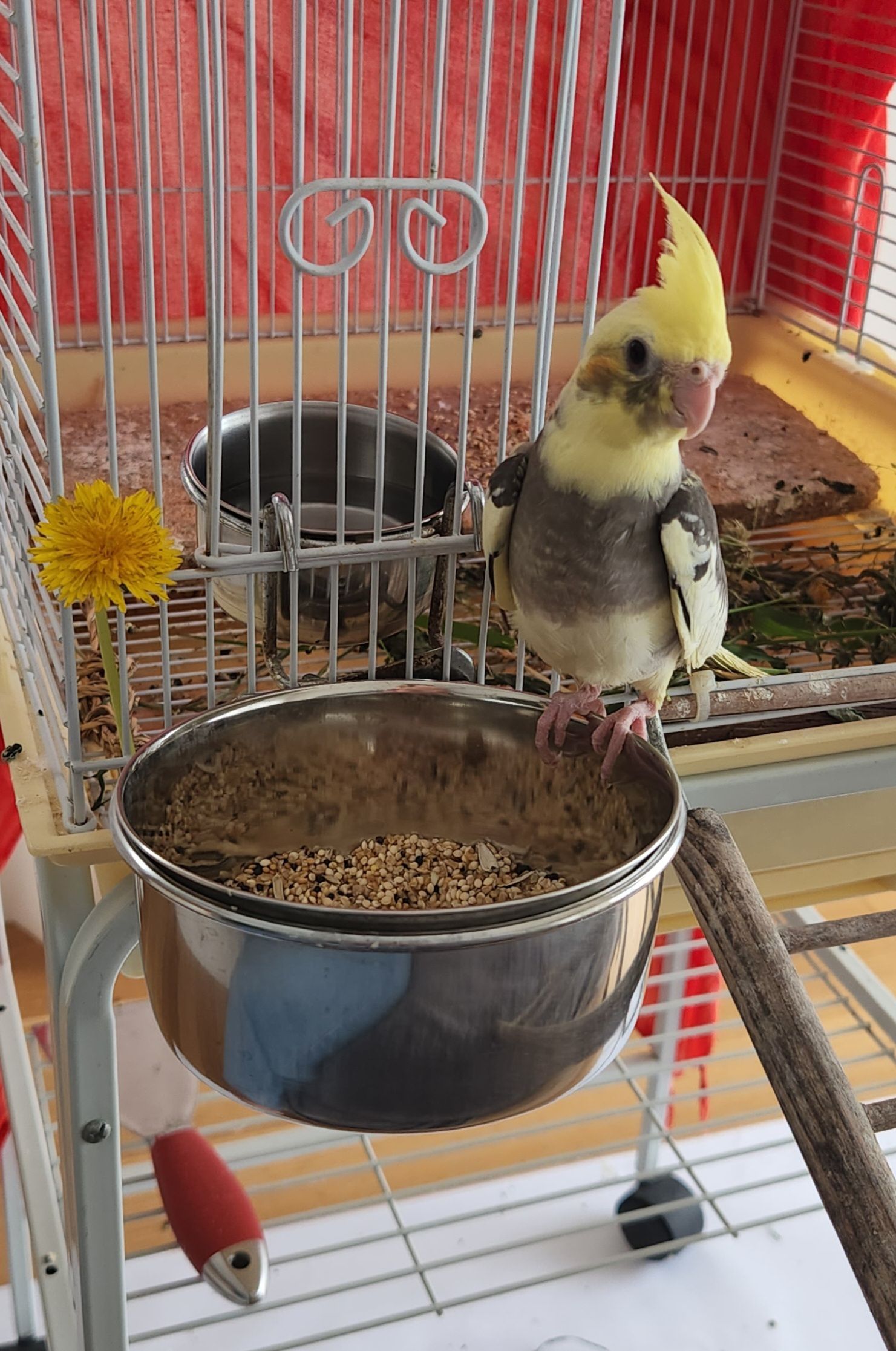 image-11