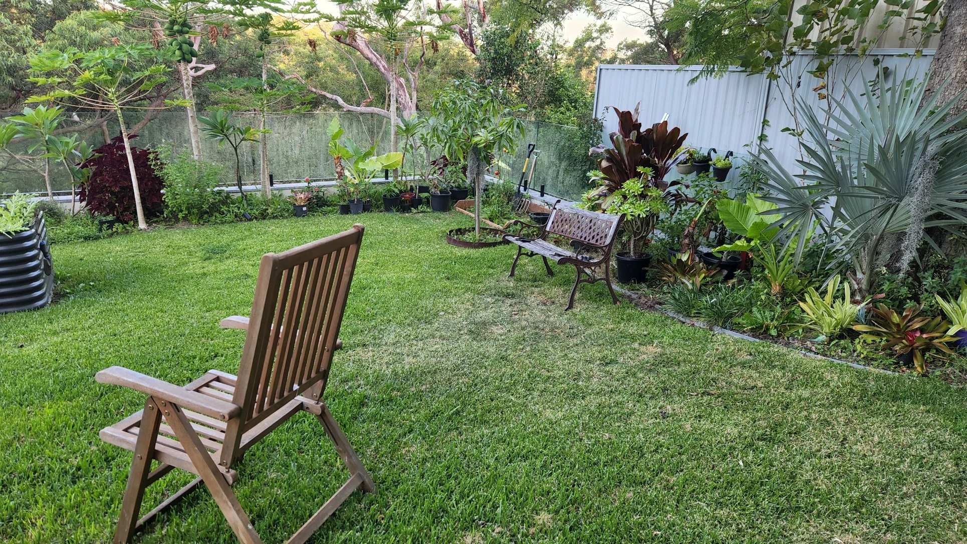 image-16