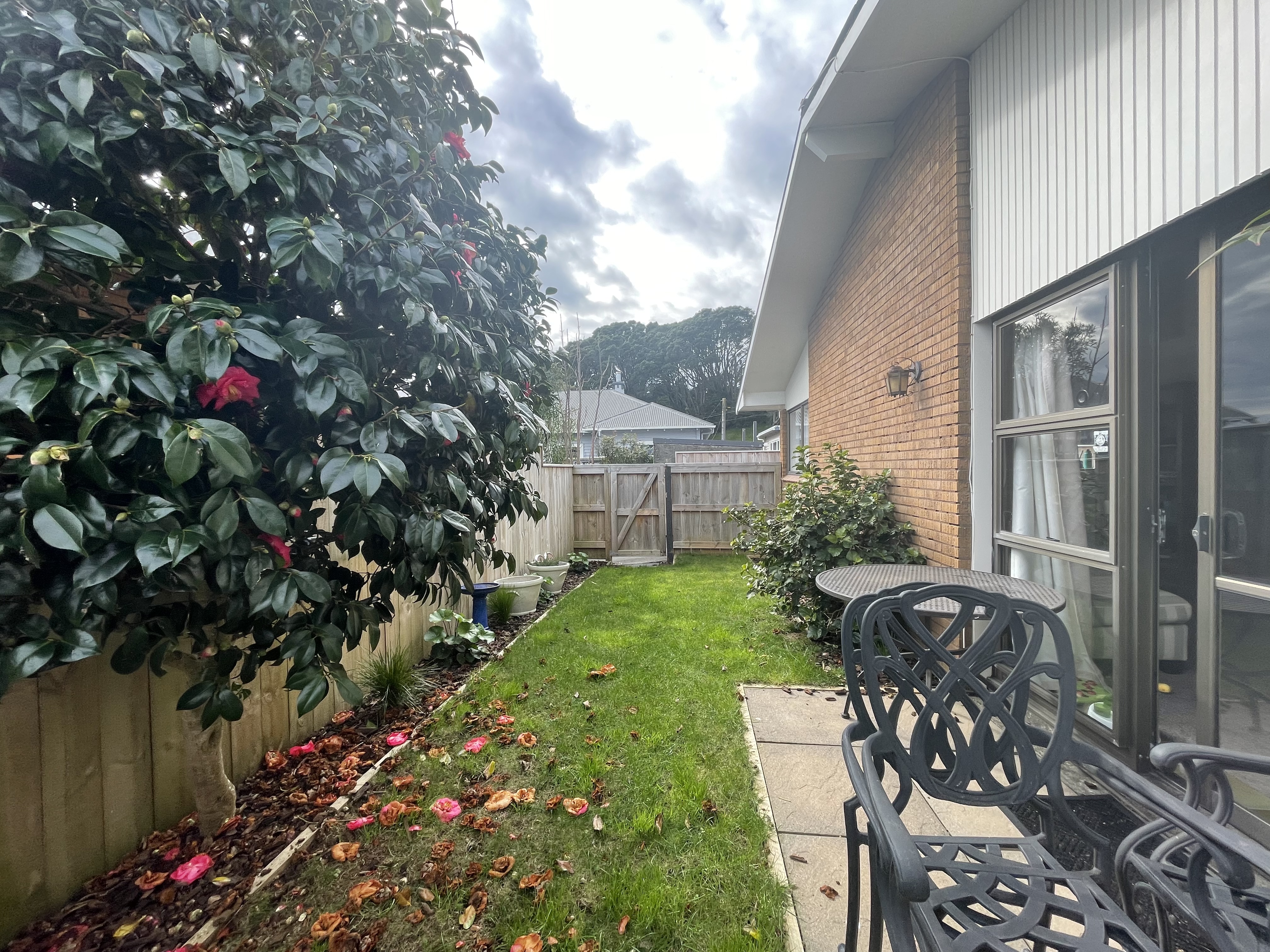 image-18