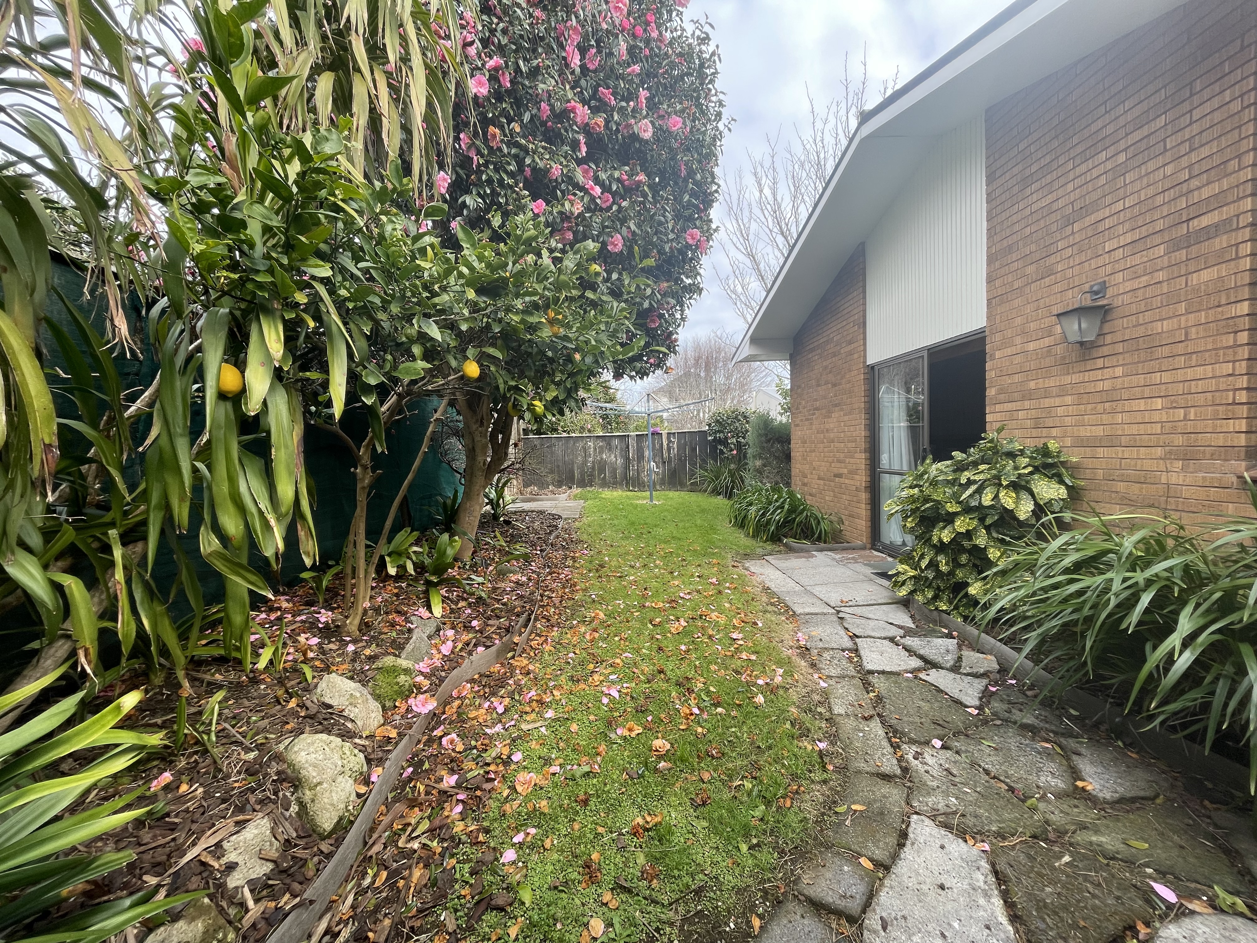 image-14