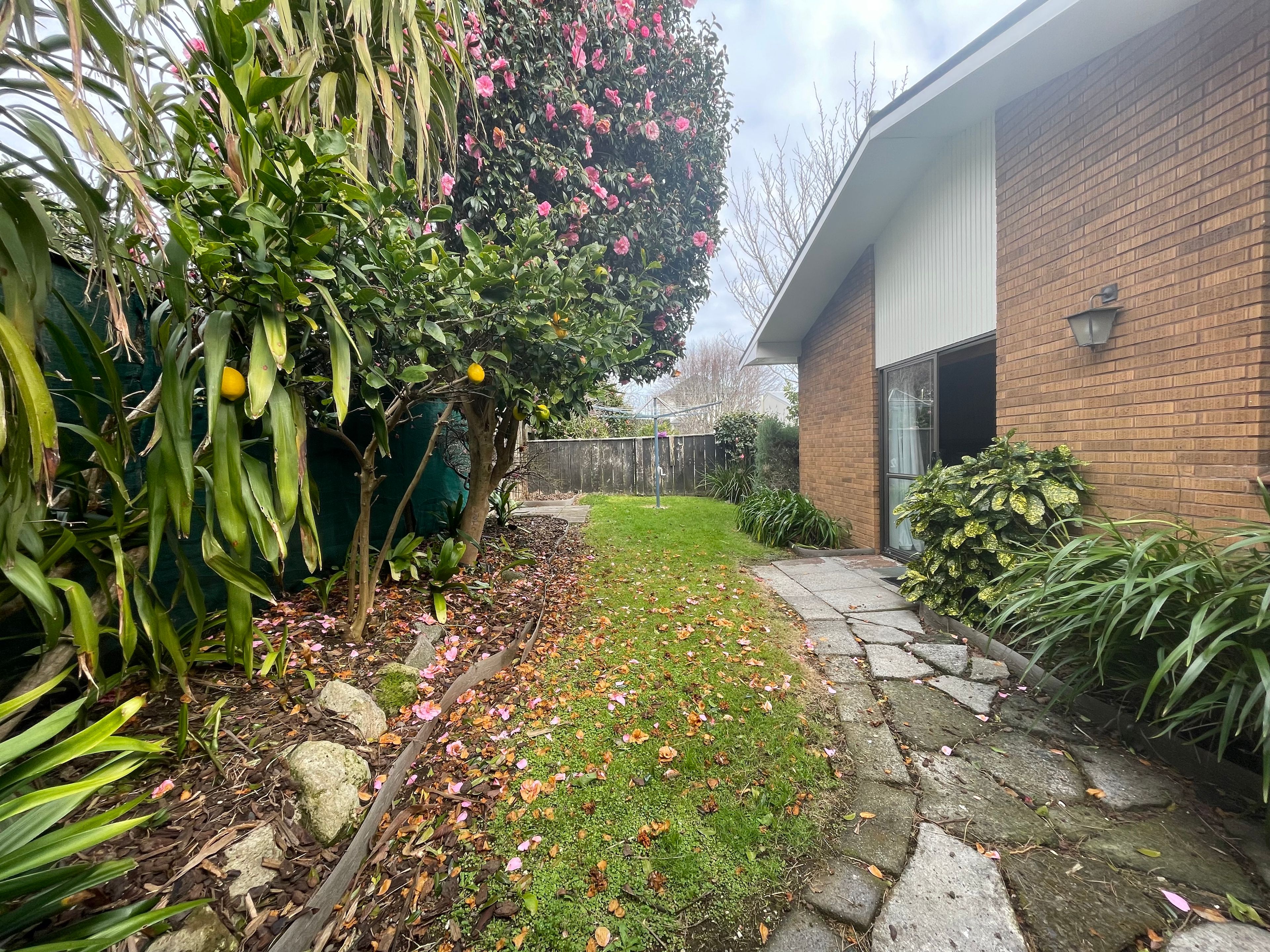 image-14