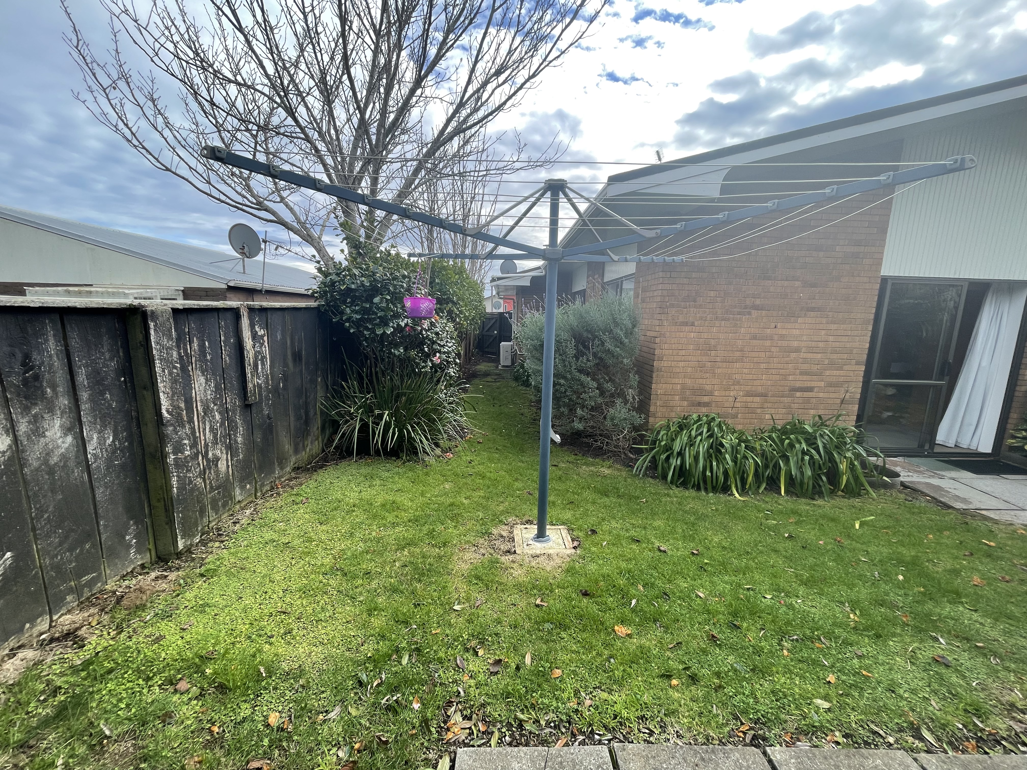 image-19