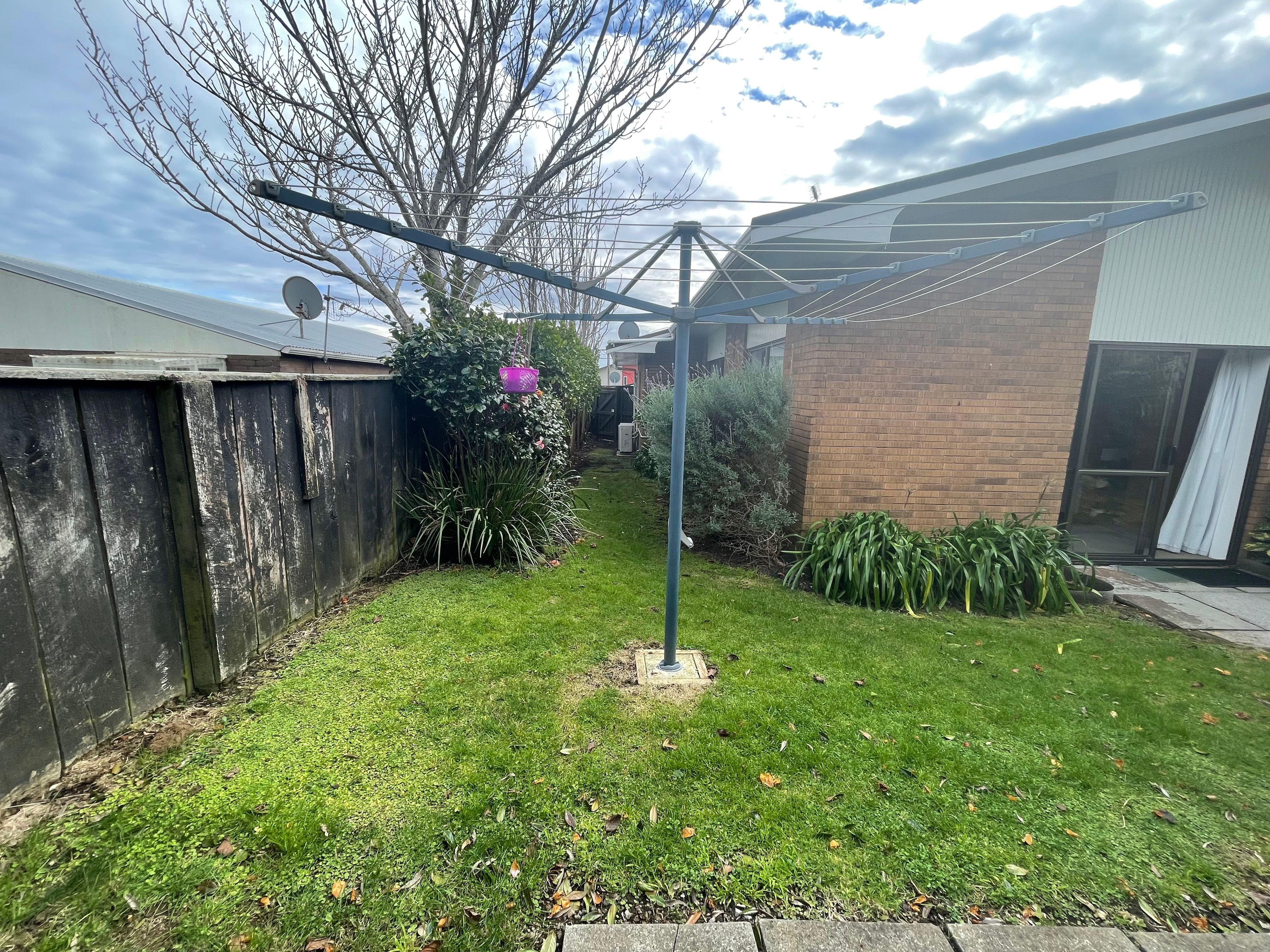 image-19