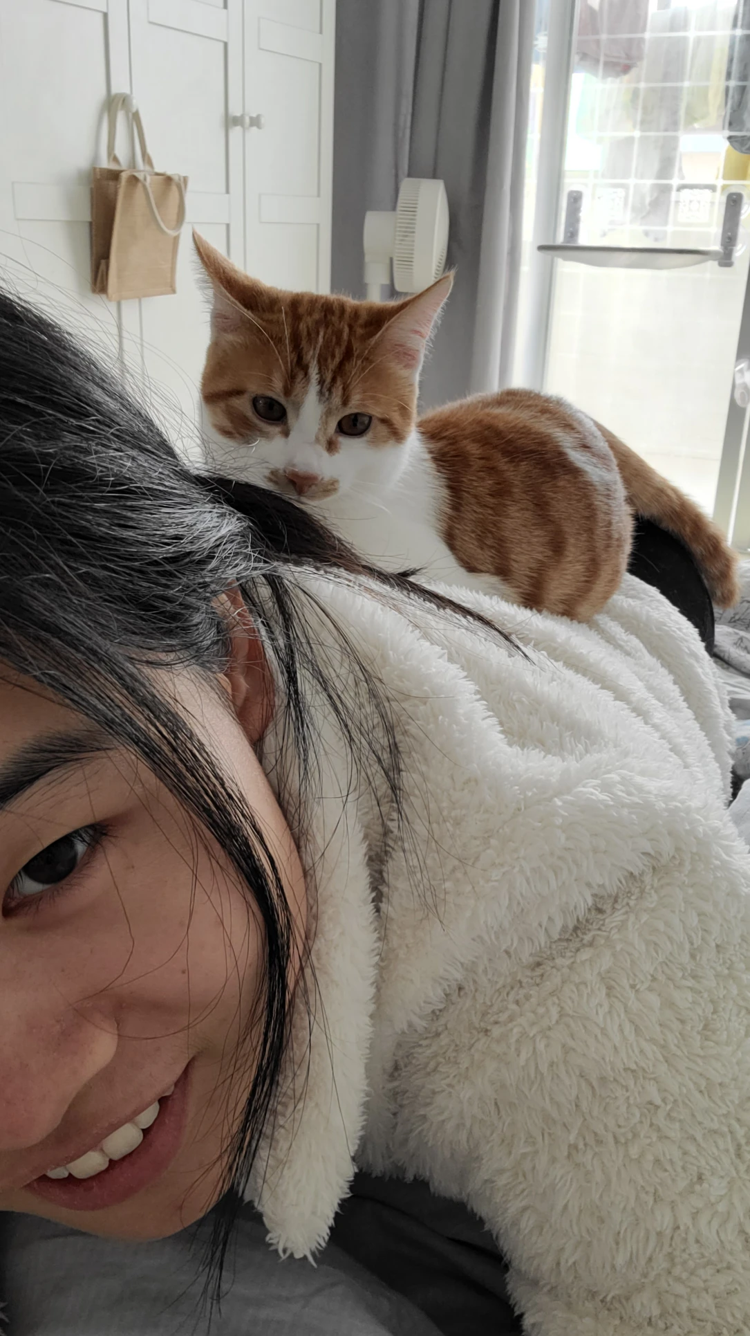 image-11