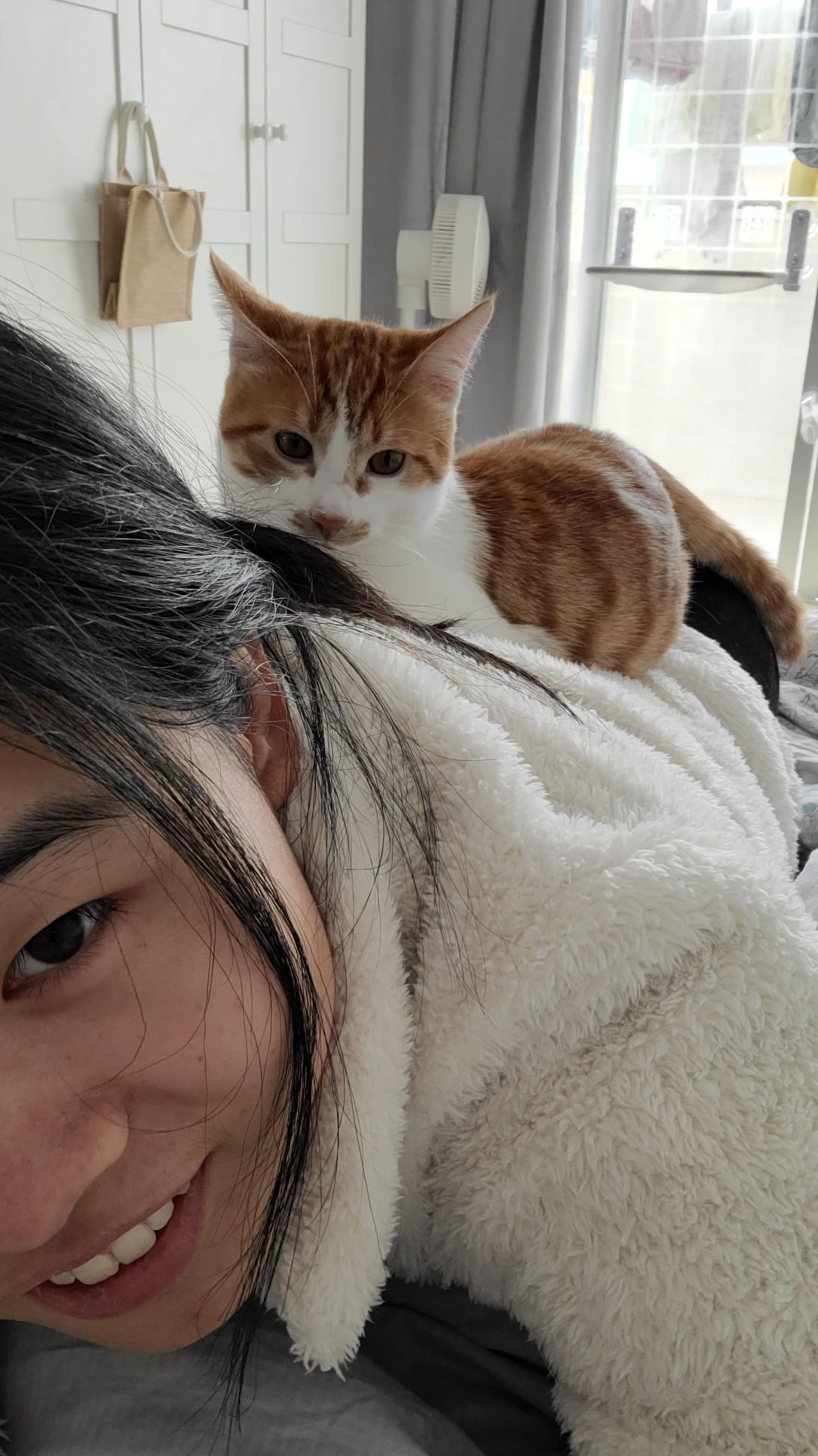 image-11