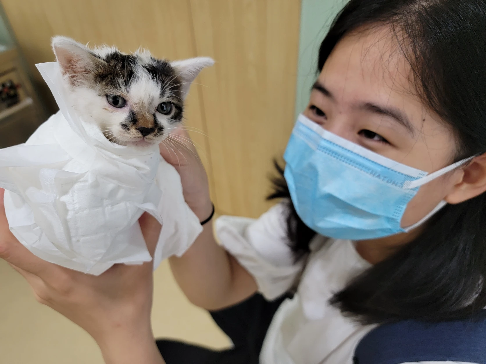 image-17