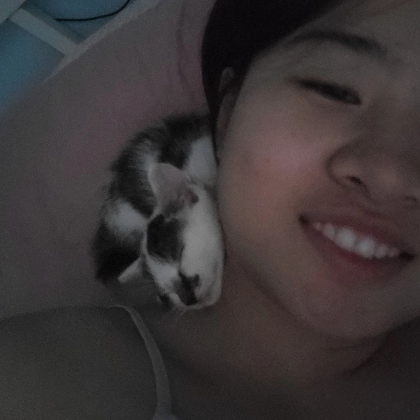 image-7