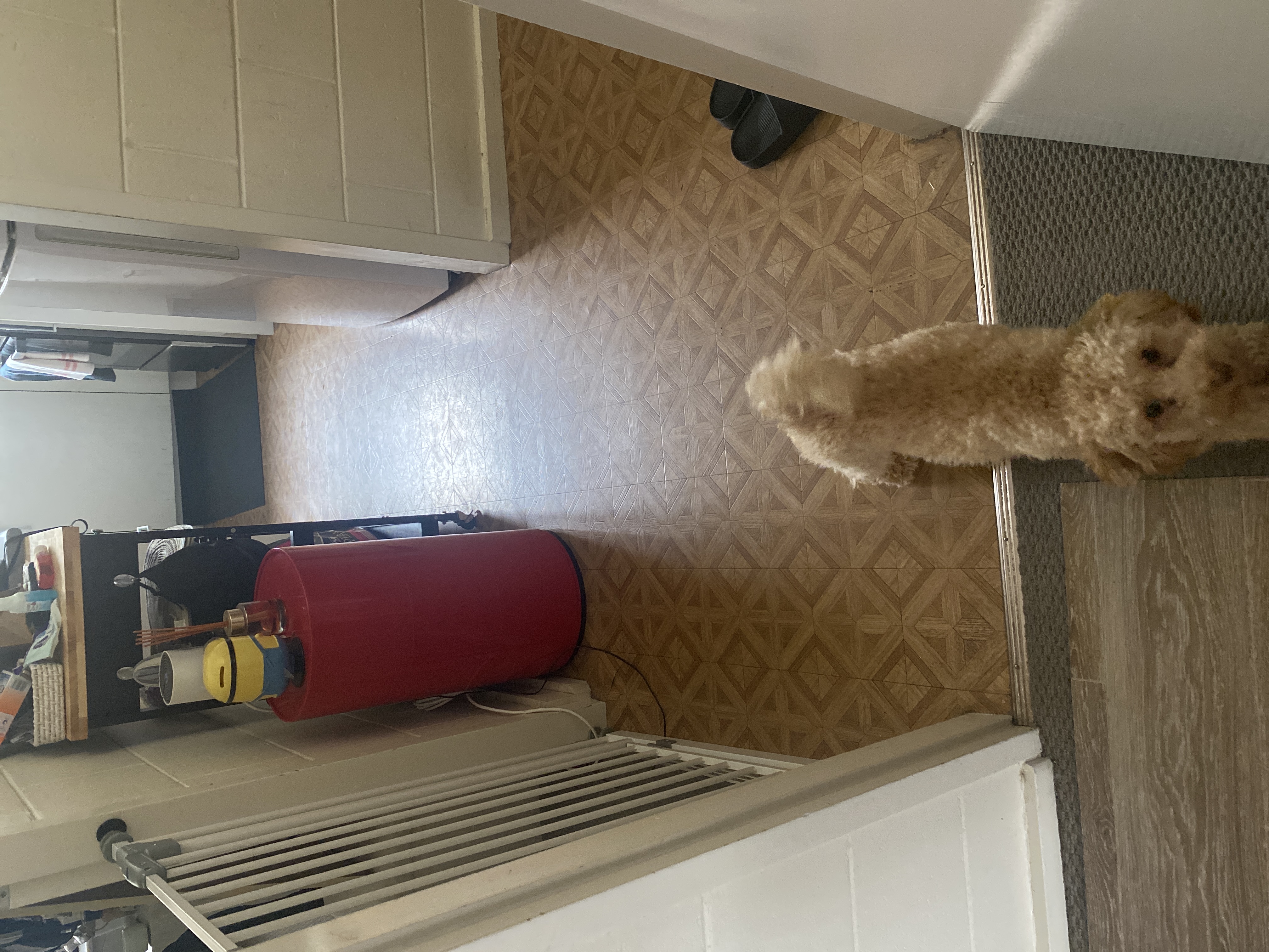 image-6