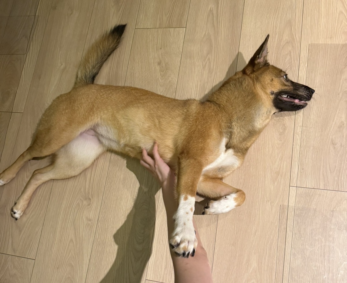 image-4