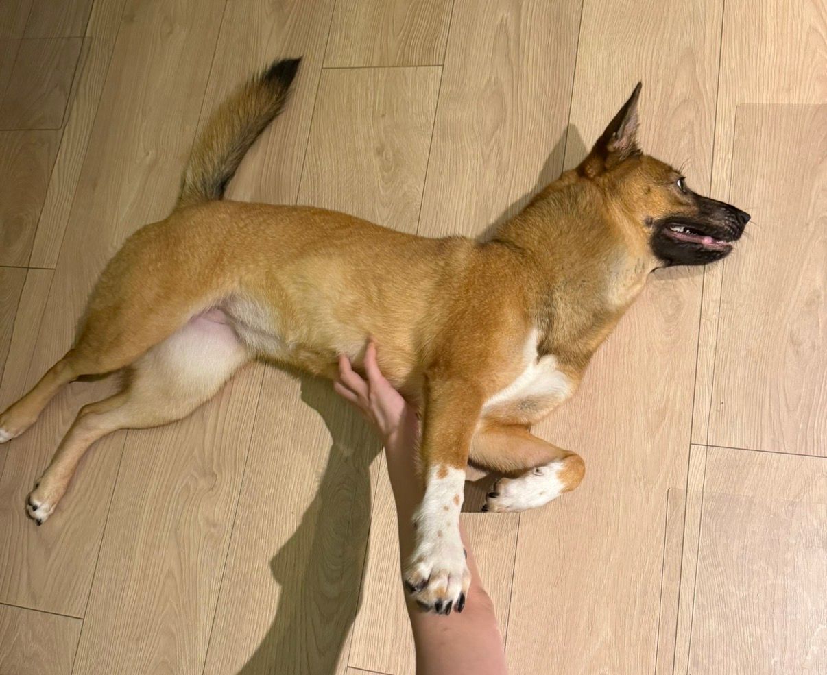 image-4