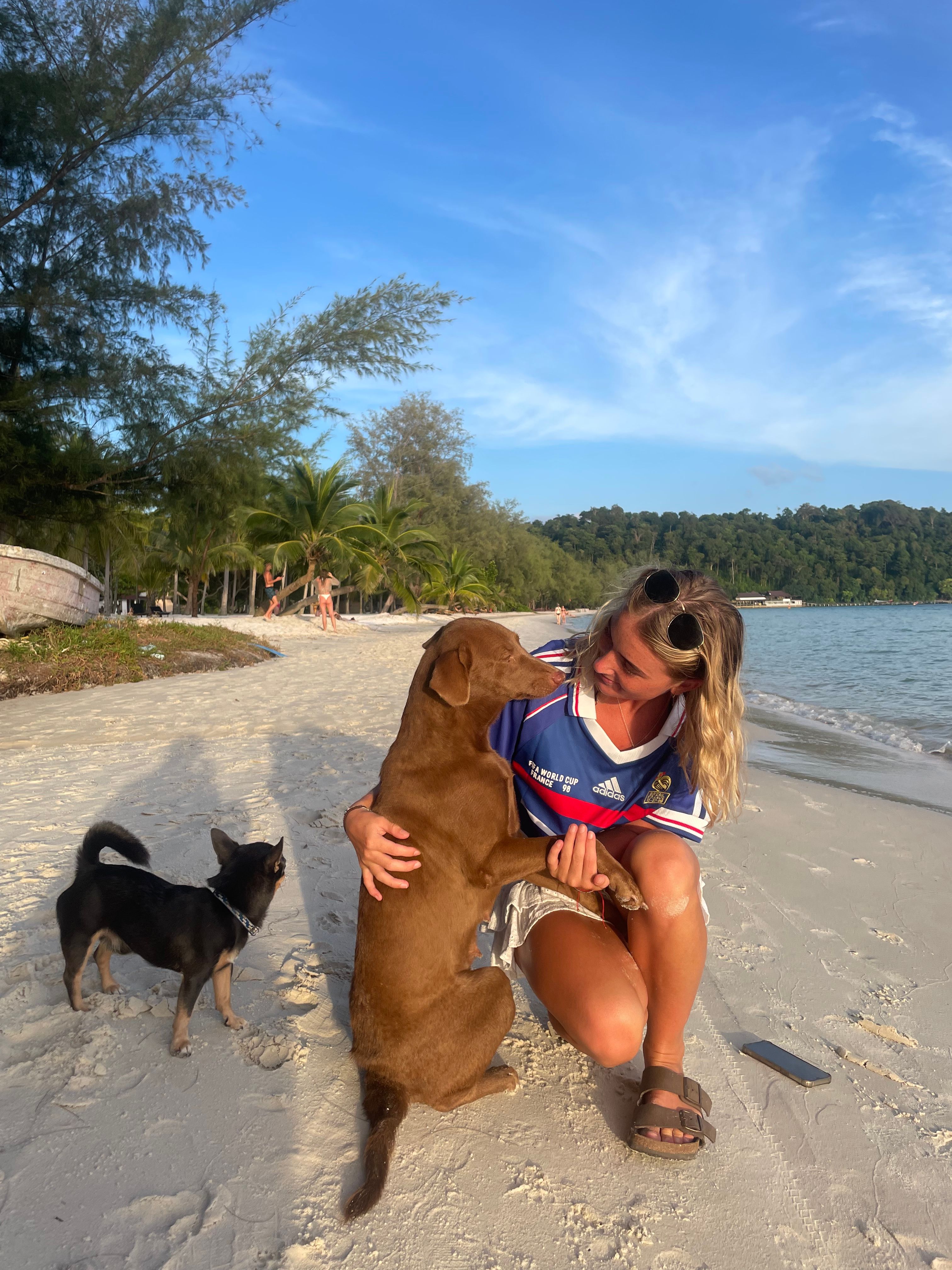 image-8