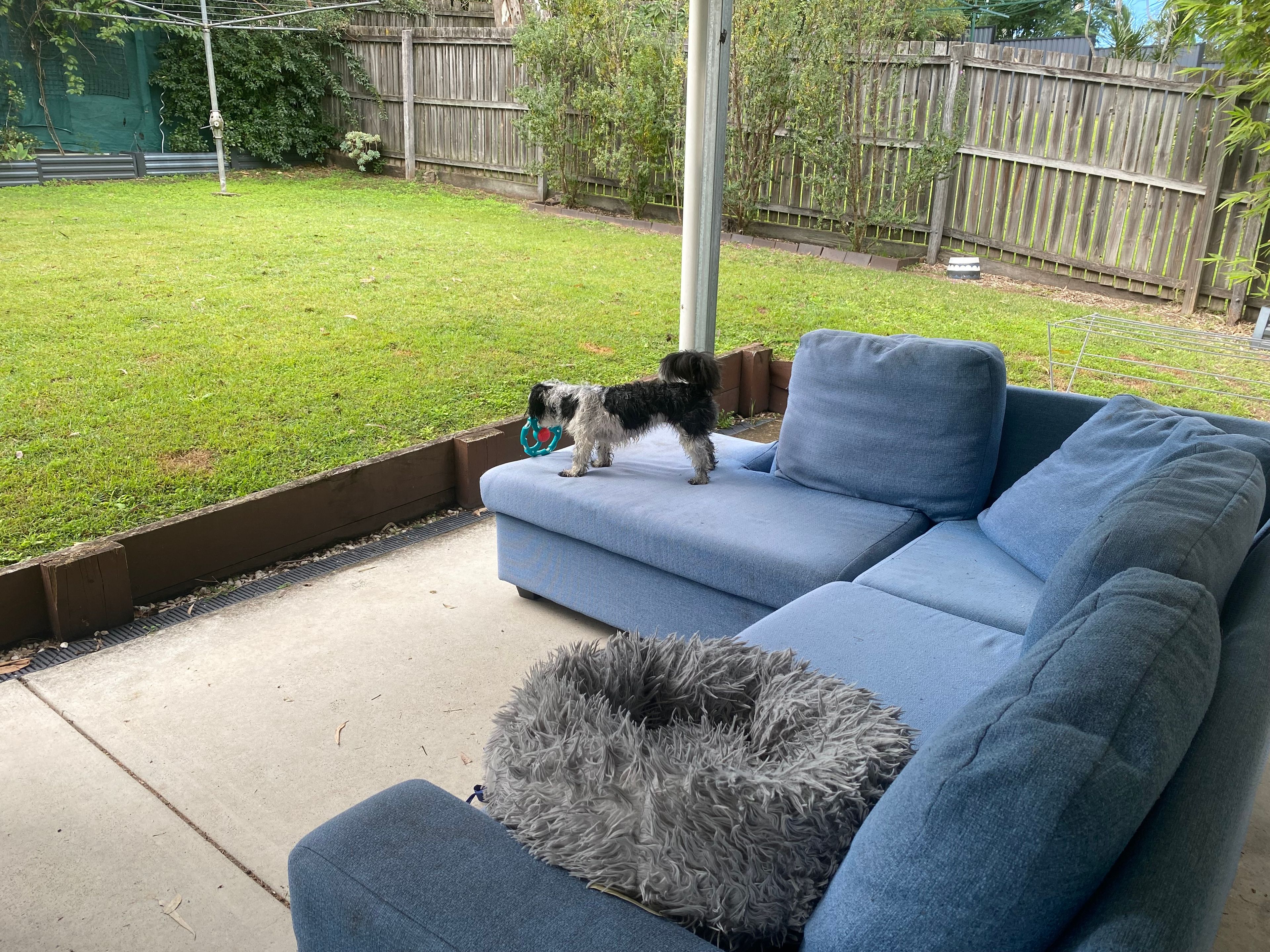 image-18