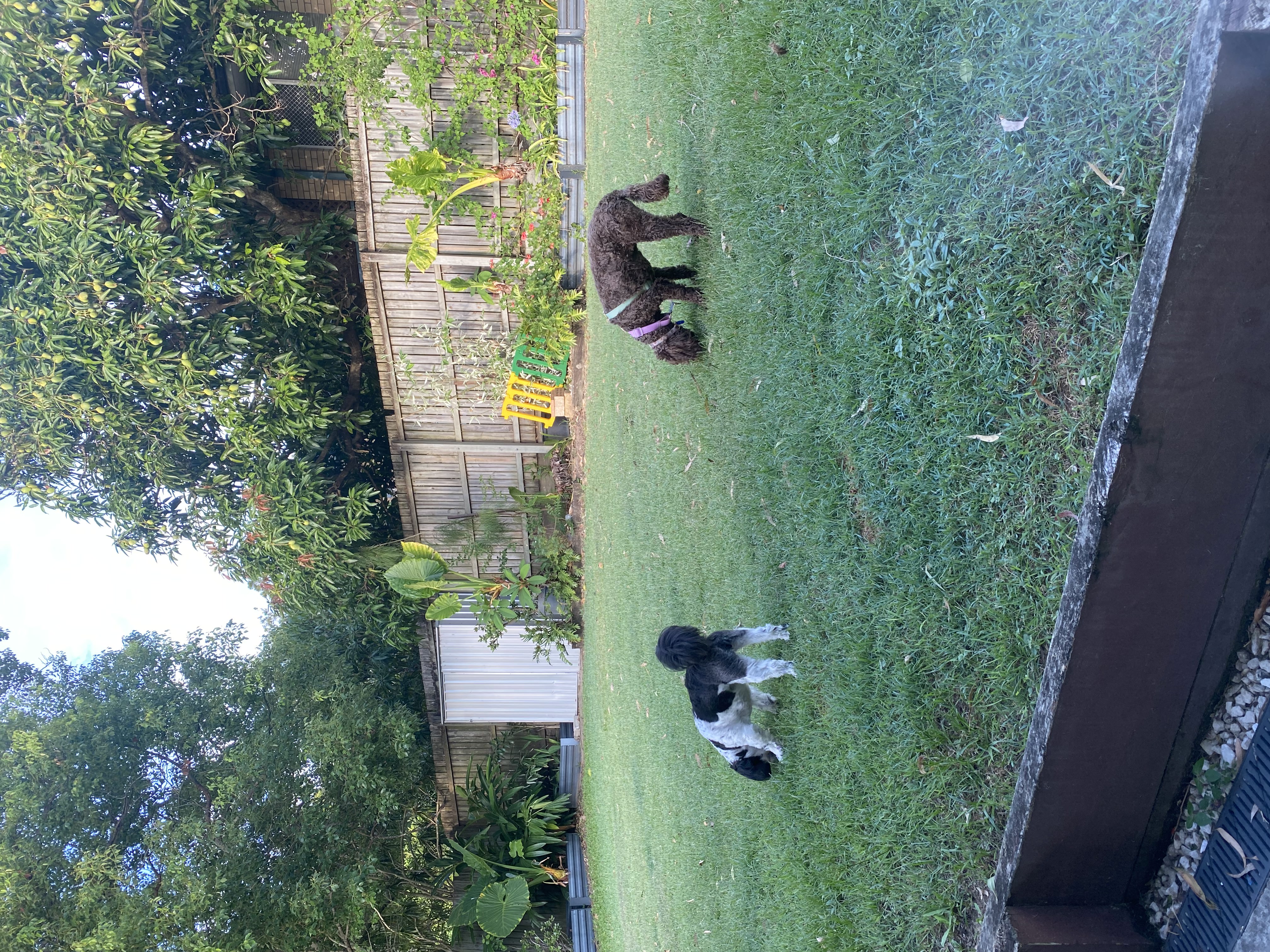 image-16