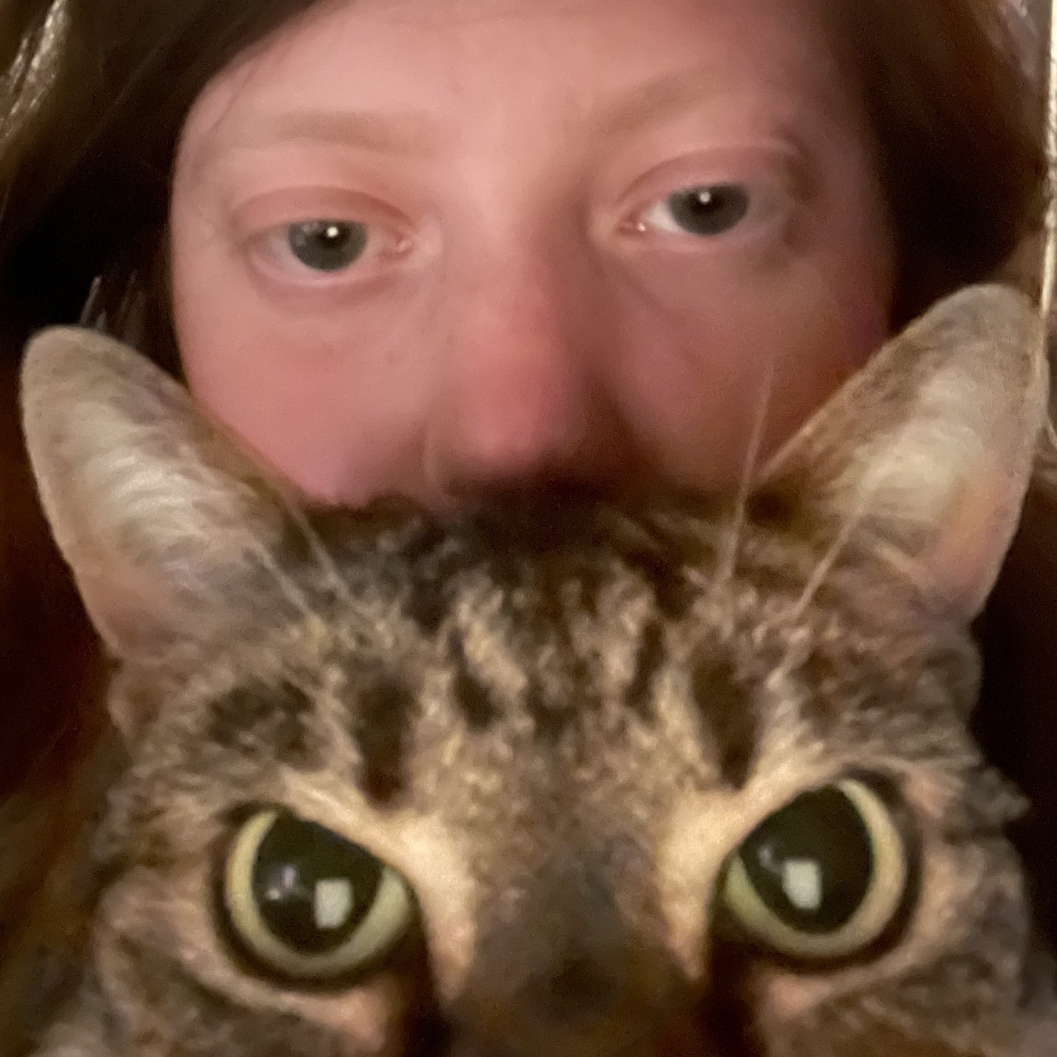 Andi