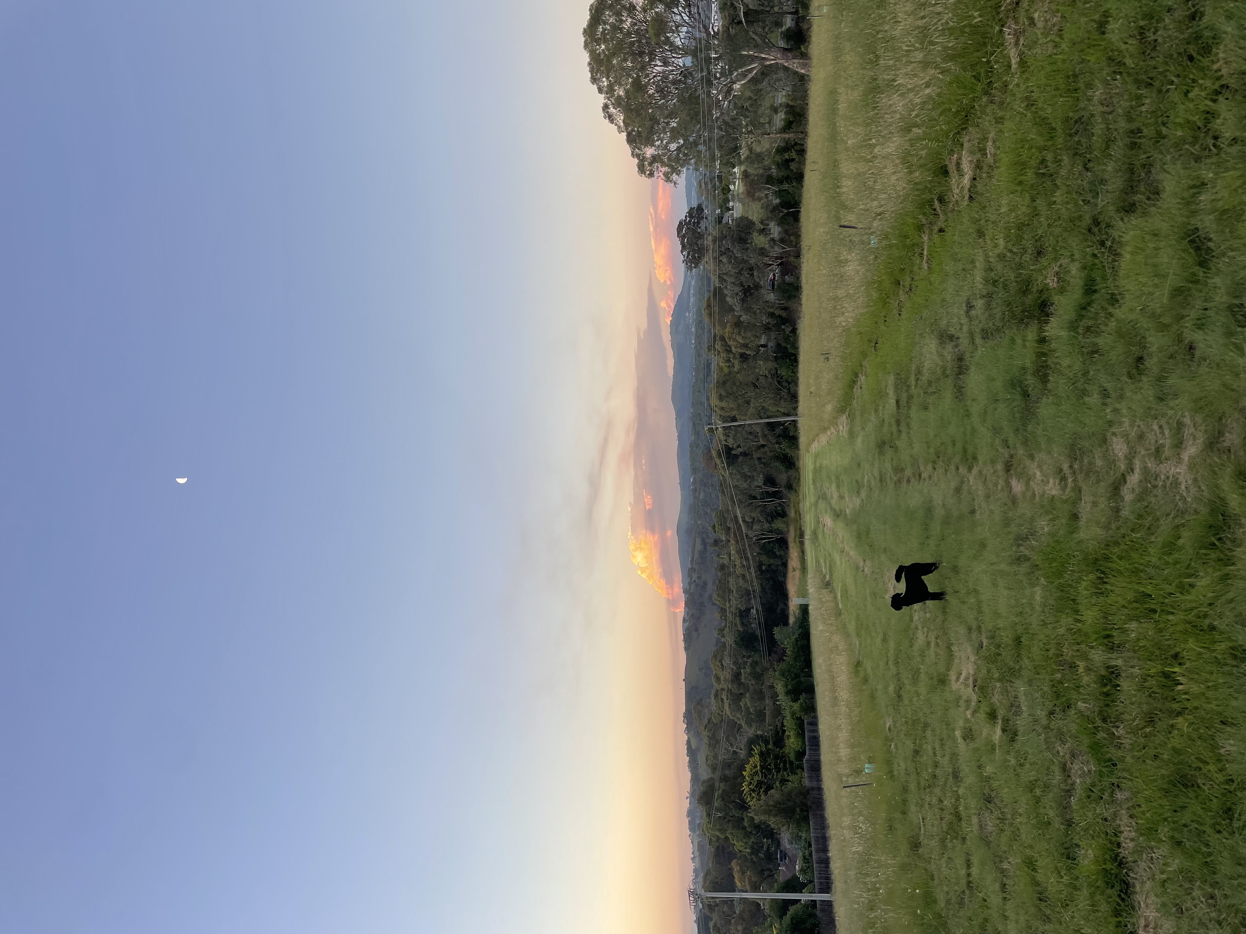 image-3