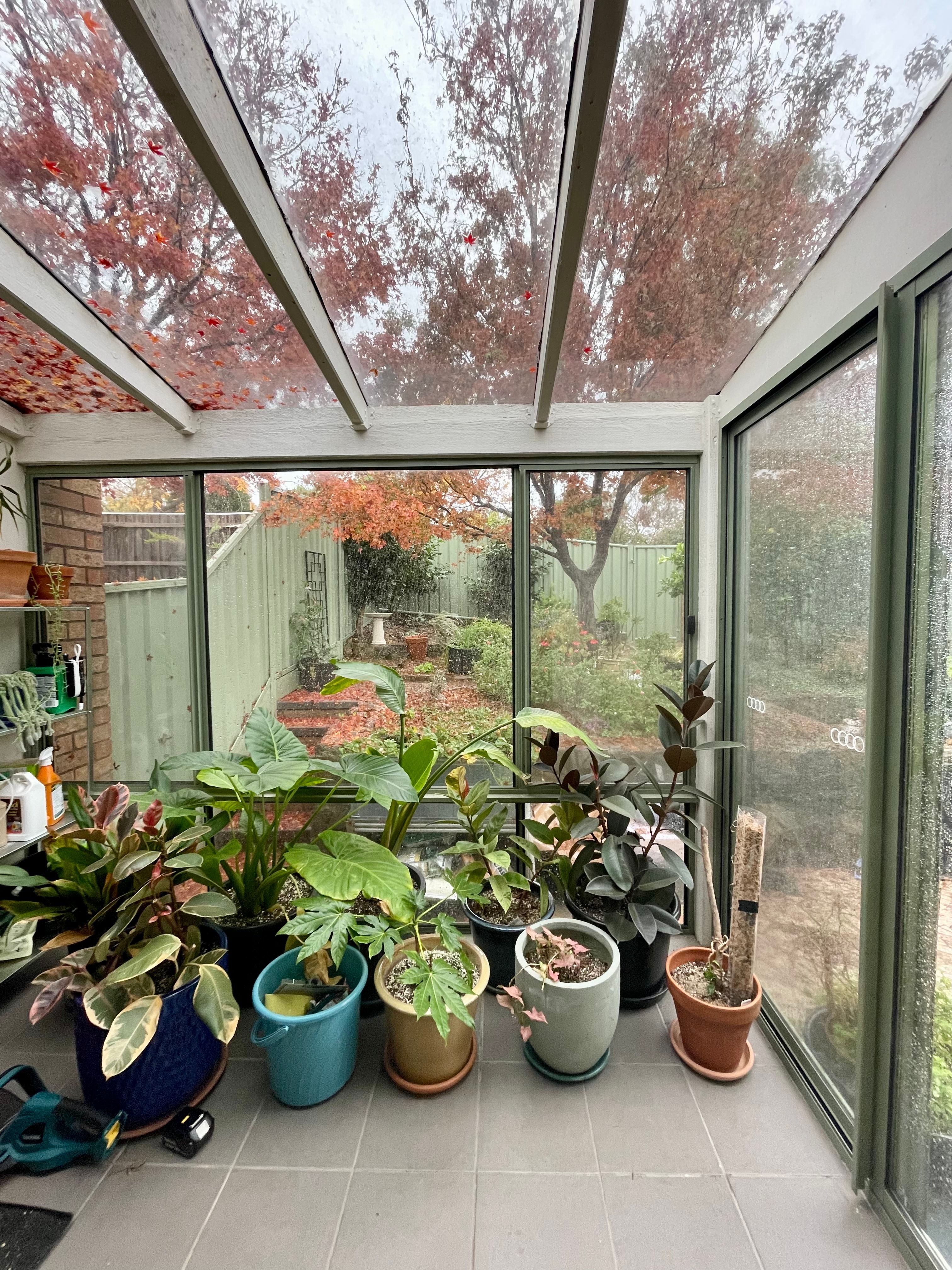 image-19