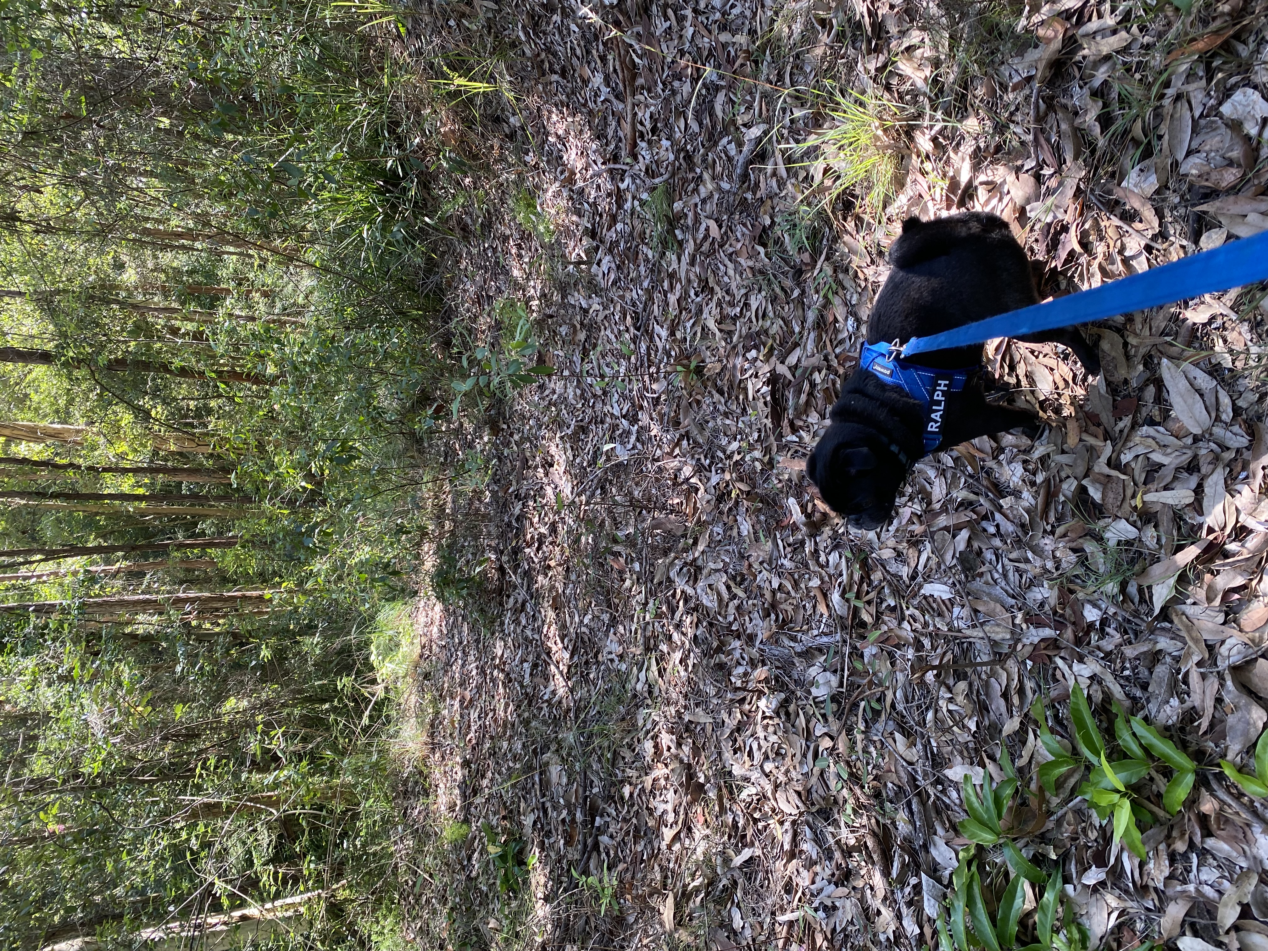 image-13