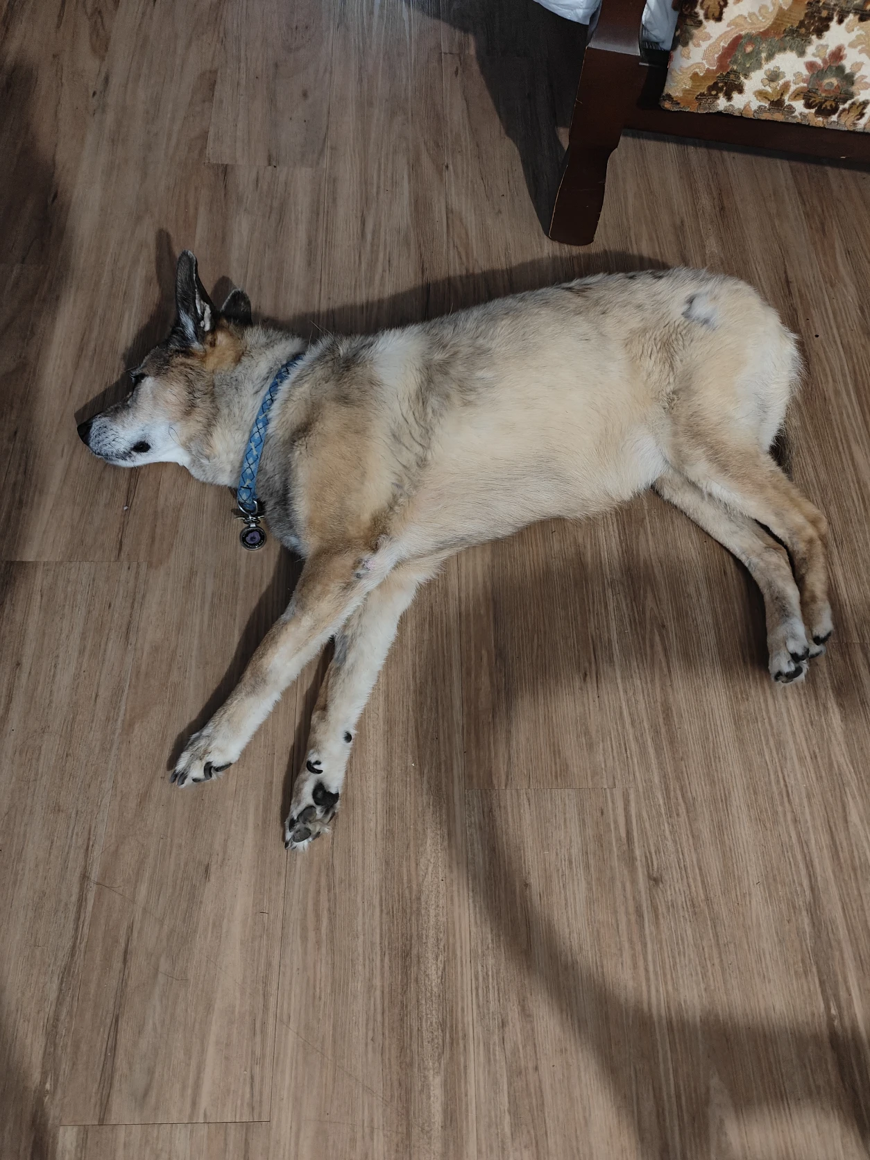image-9