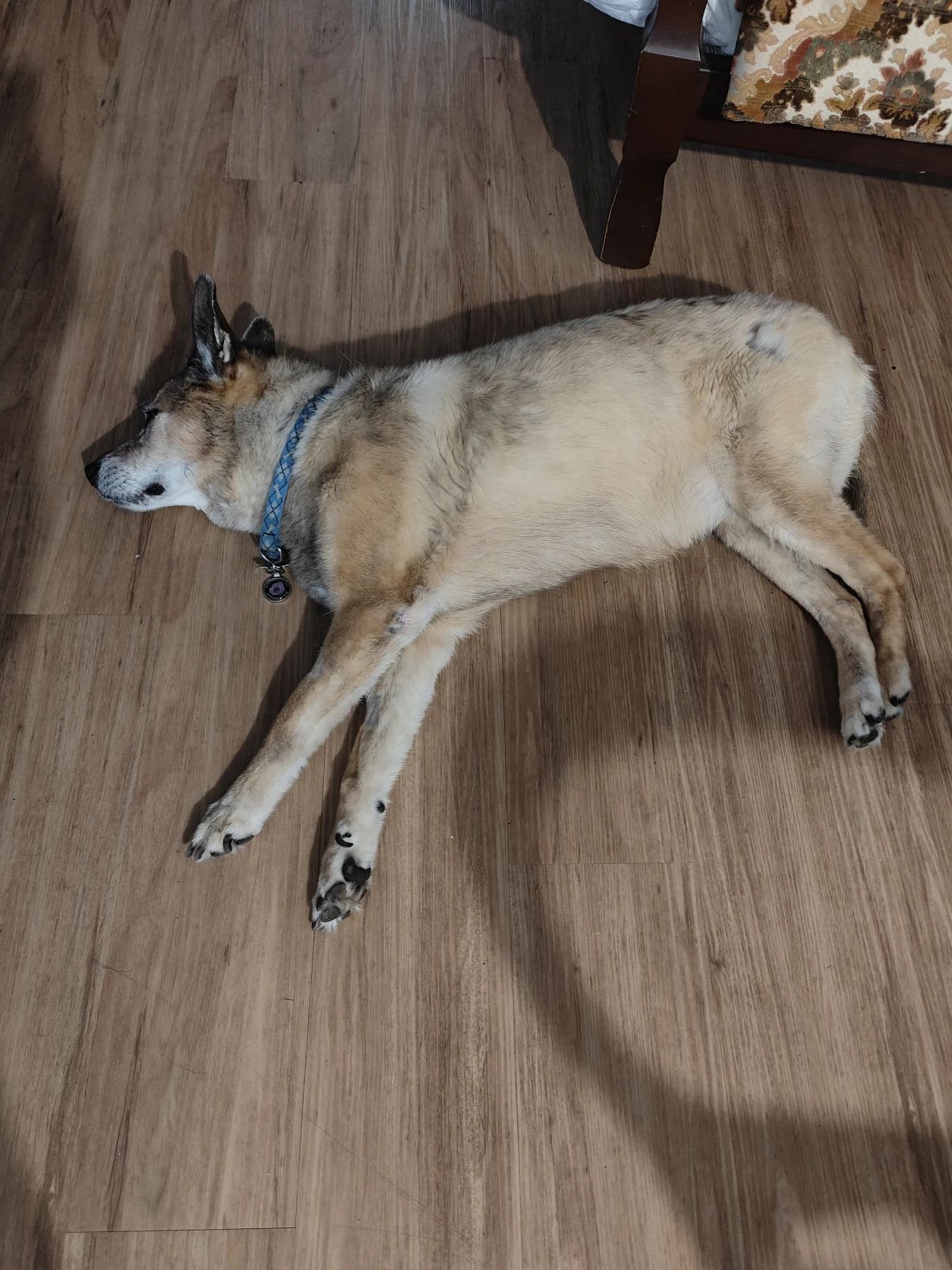 image-9