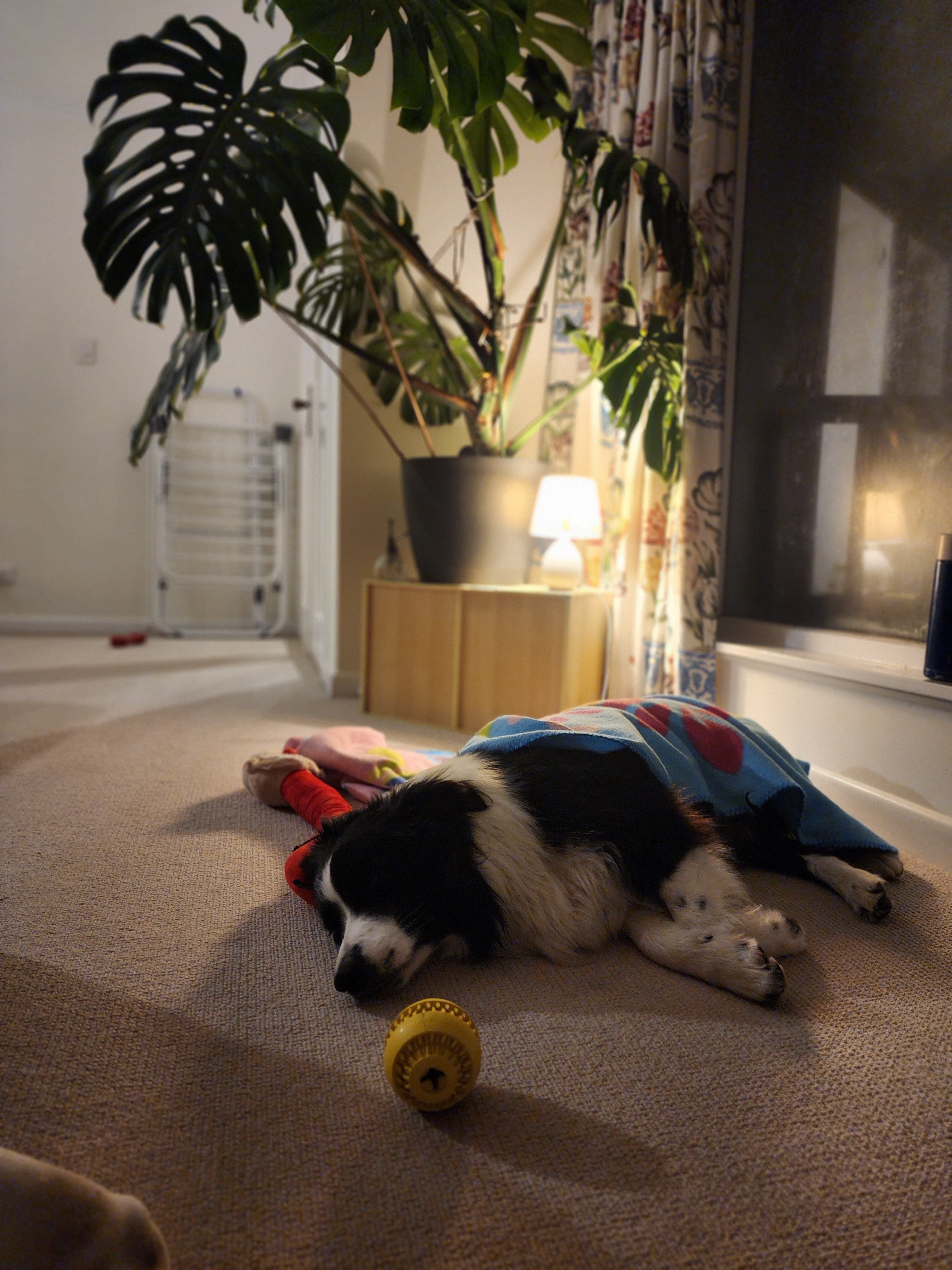 image-9