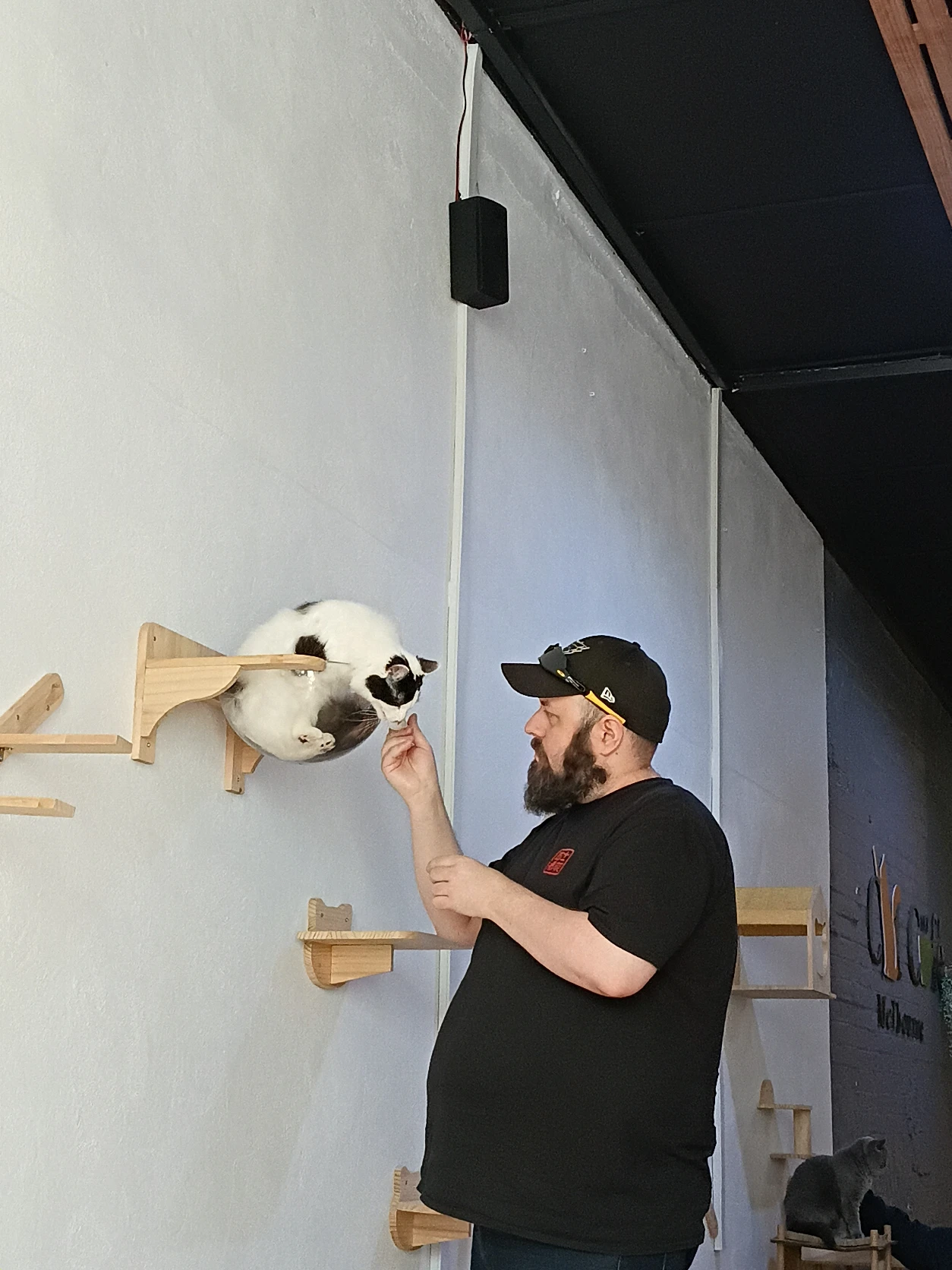 image-3