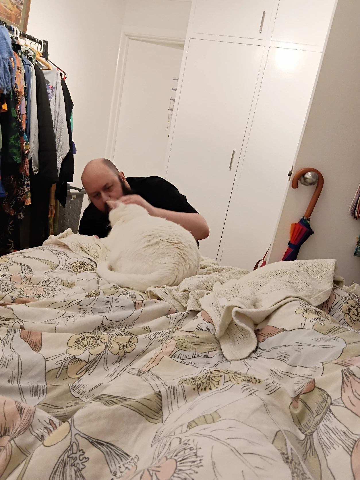 image-8