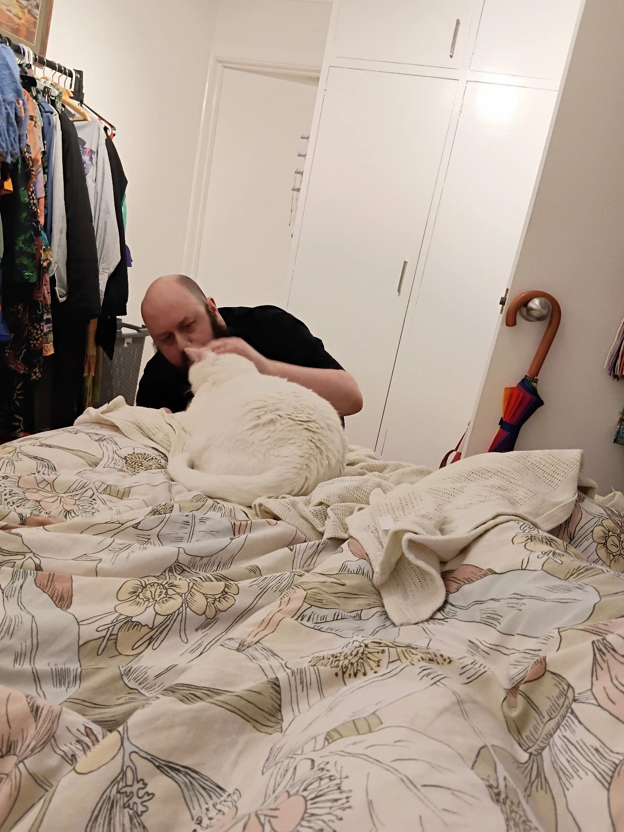 image-8