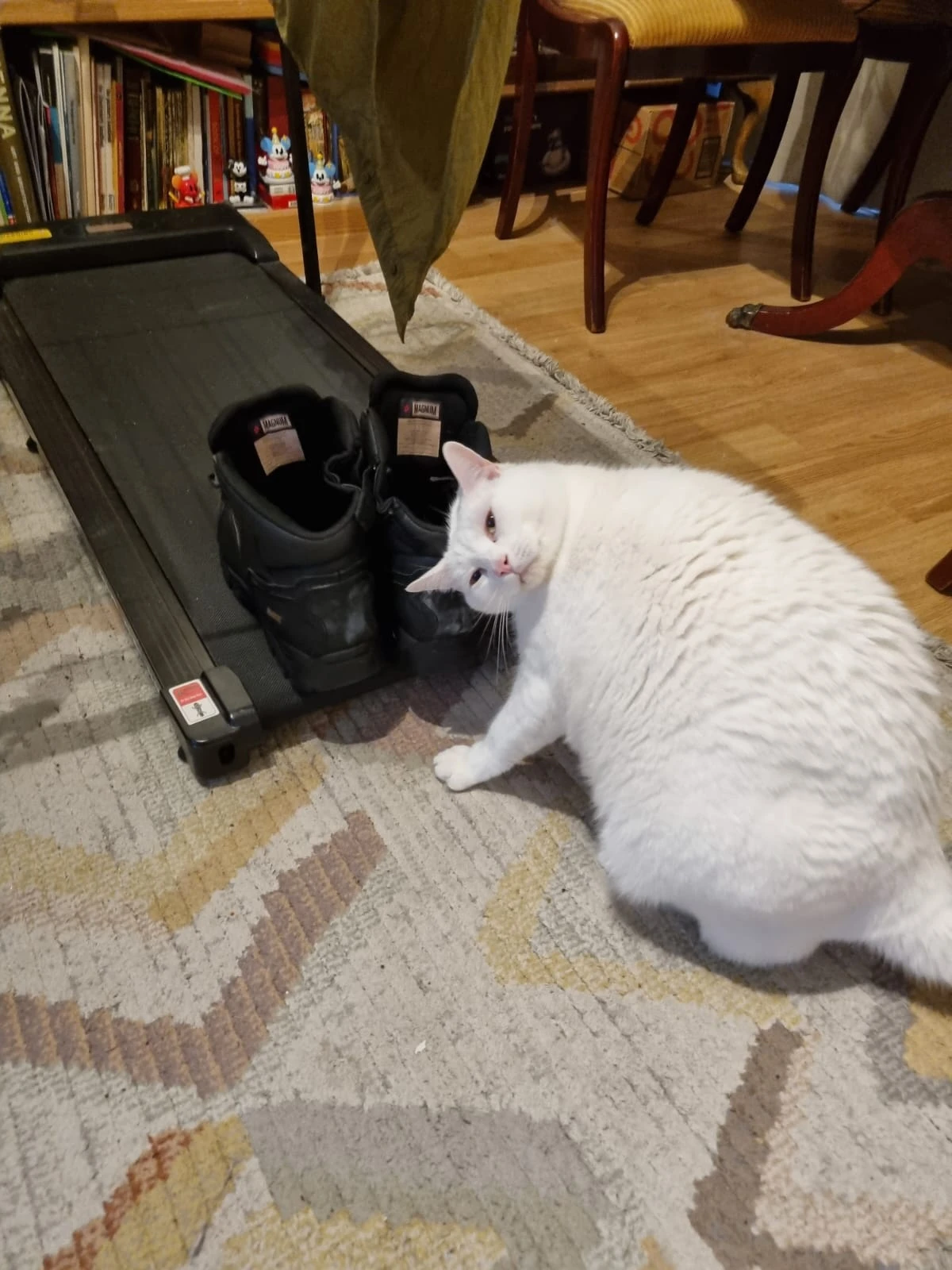 image-10