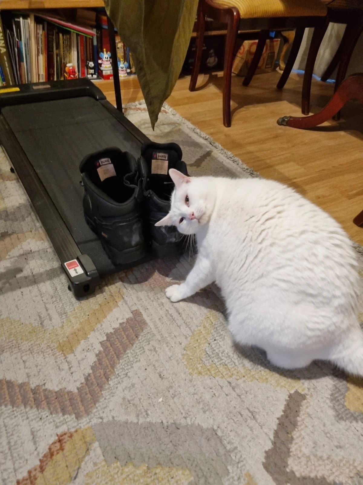 image-10