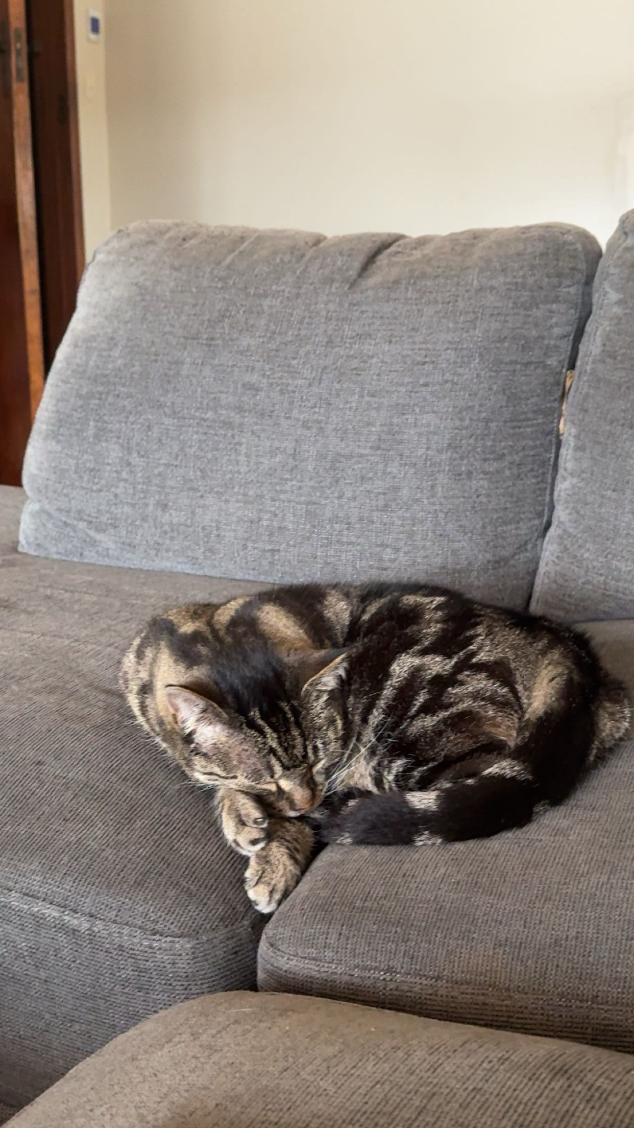 image-7