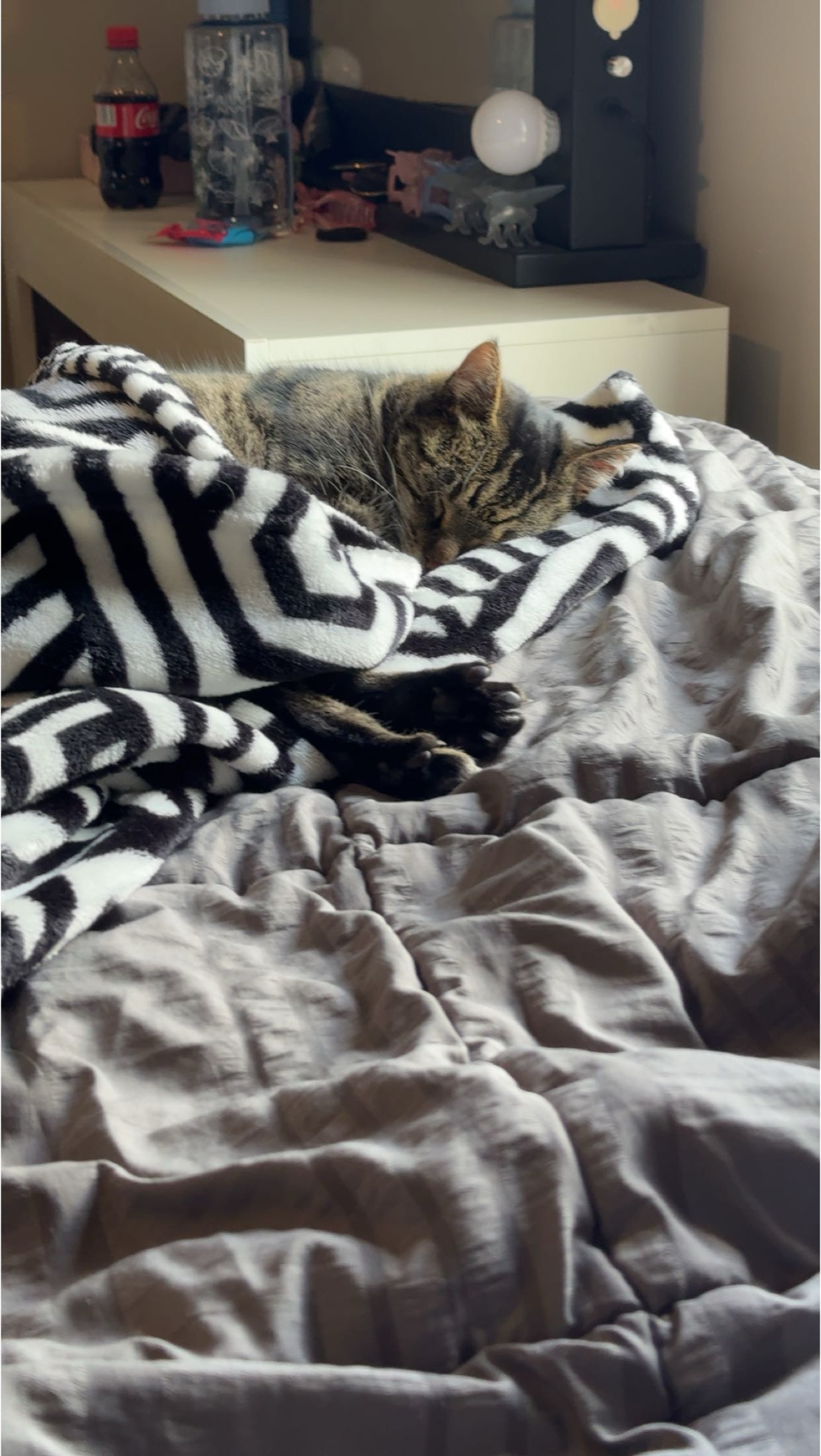 image-11