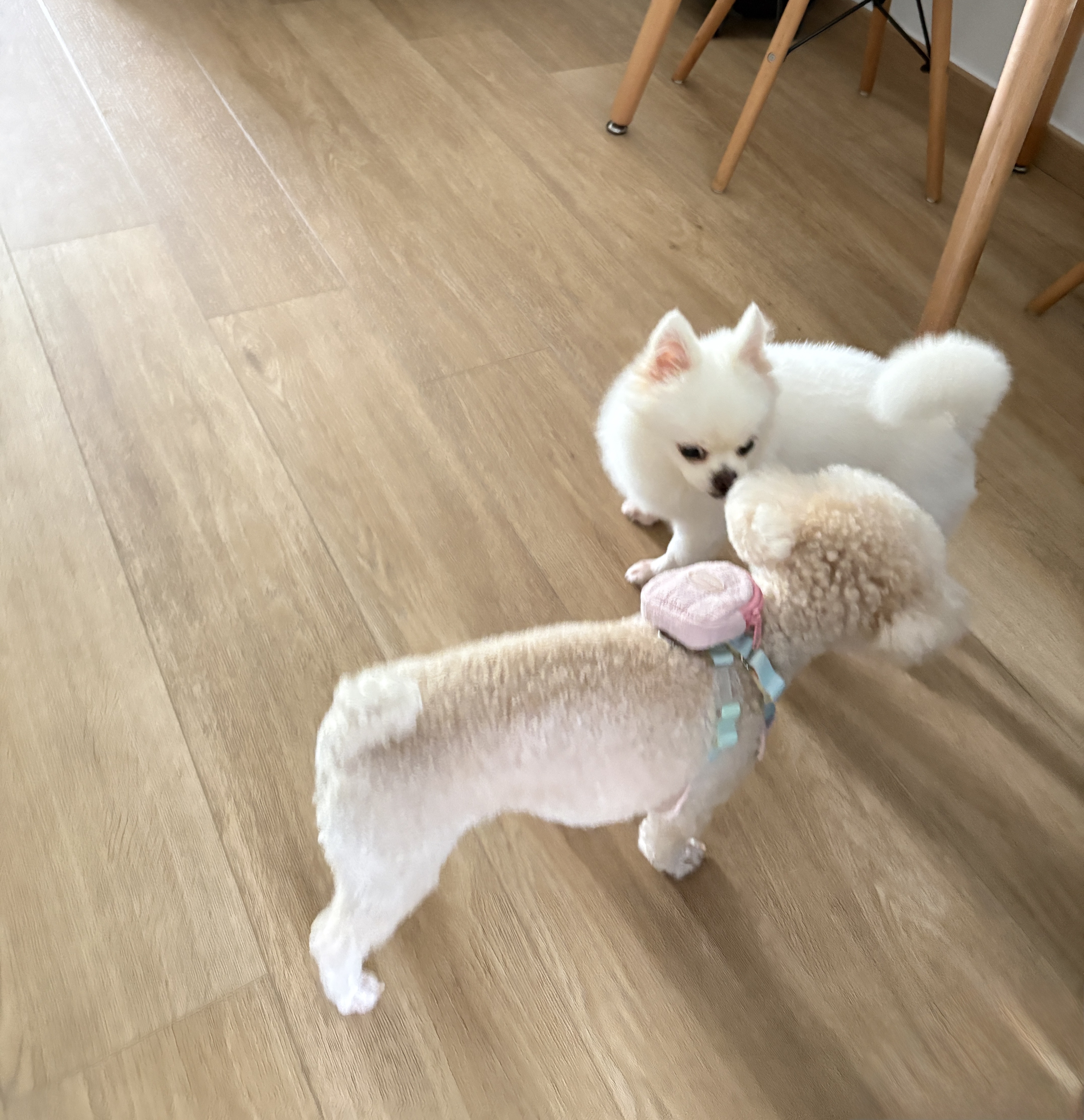 image-16
