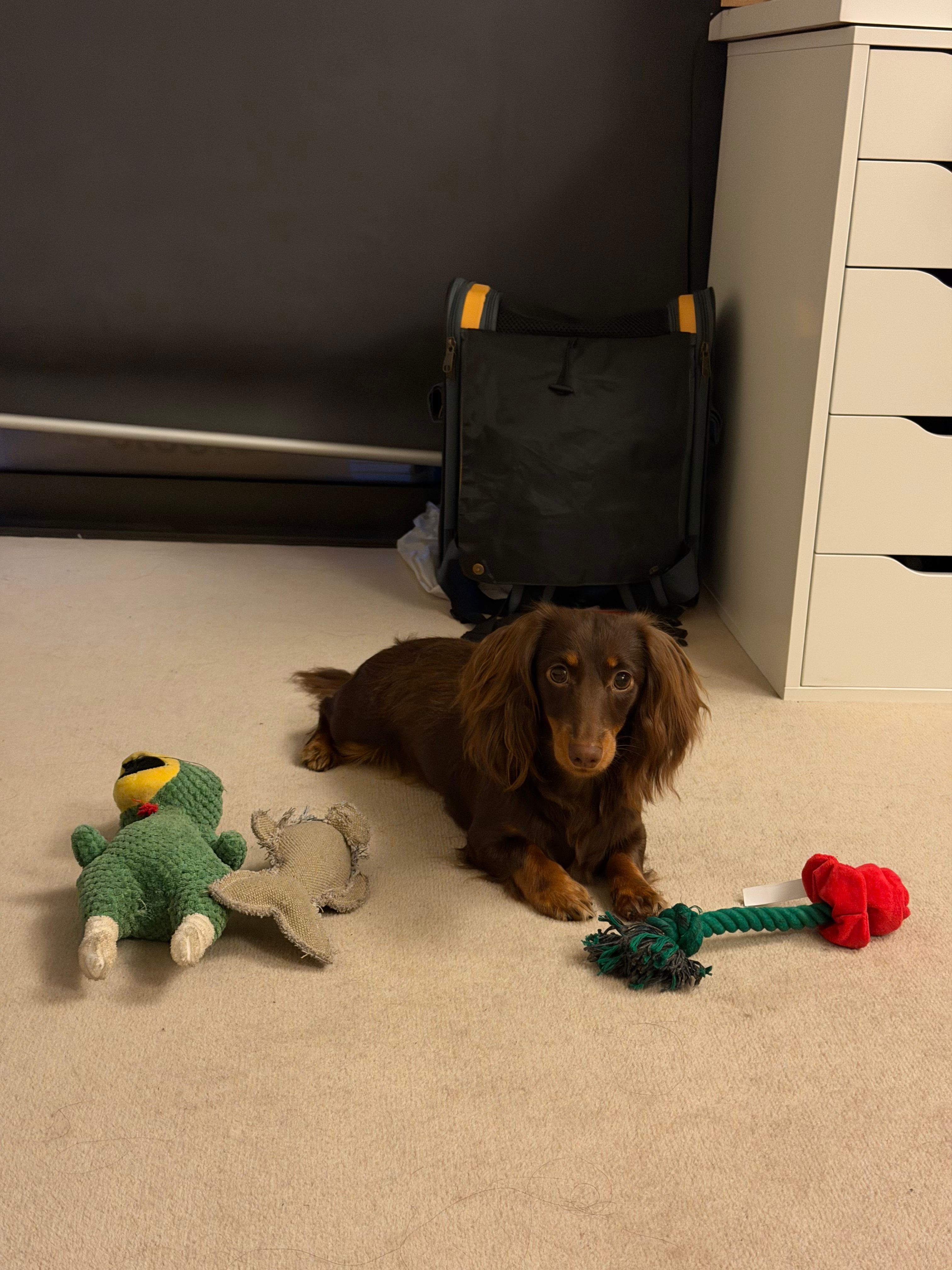 image-27