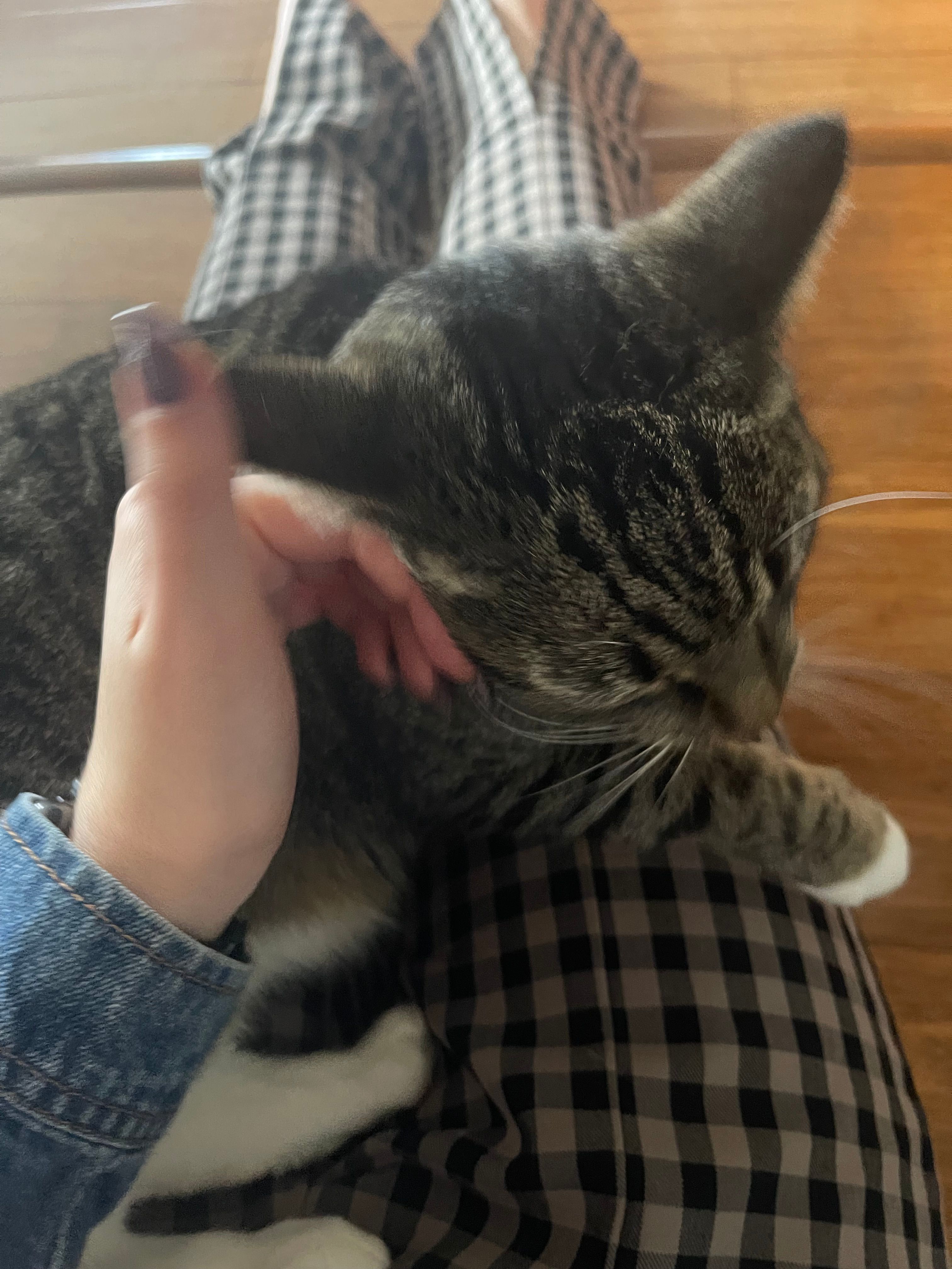 image-8