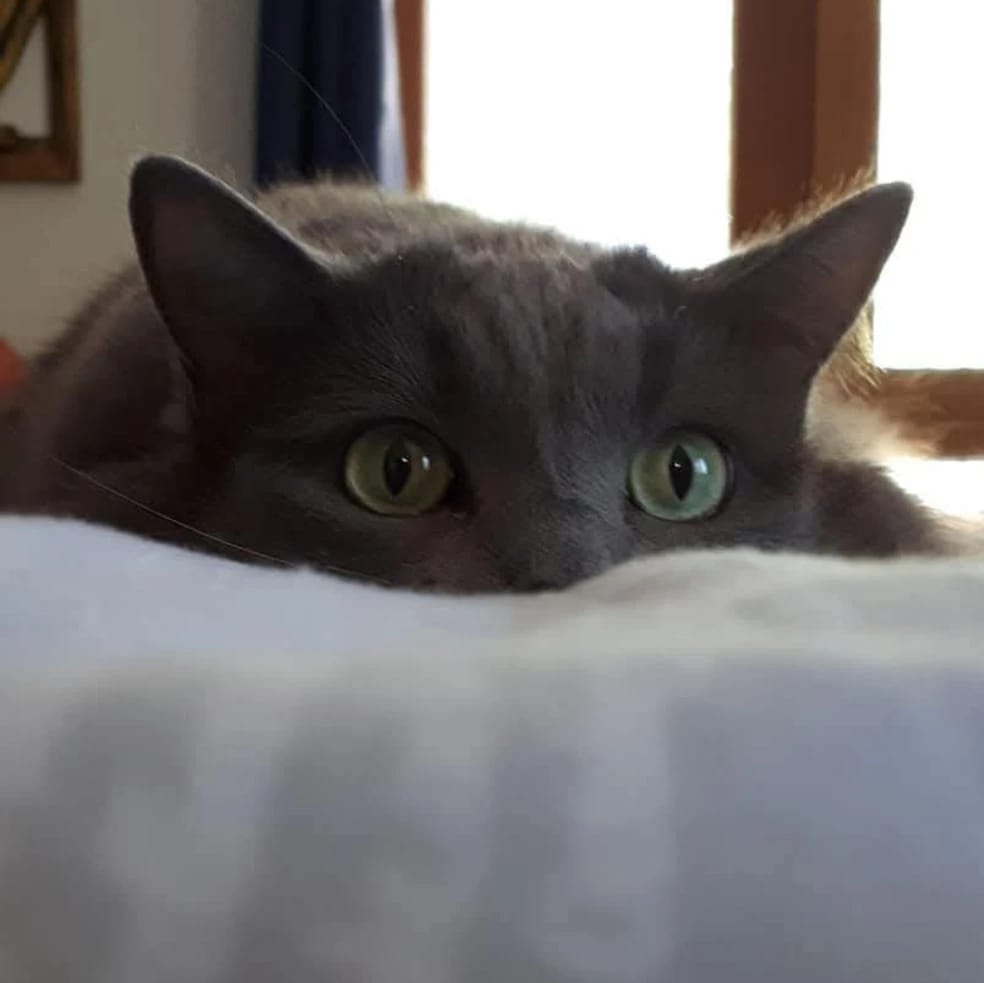 Minxy
