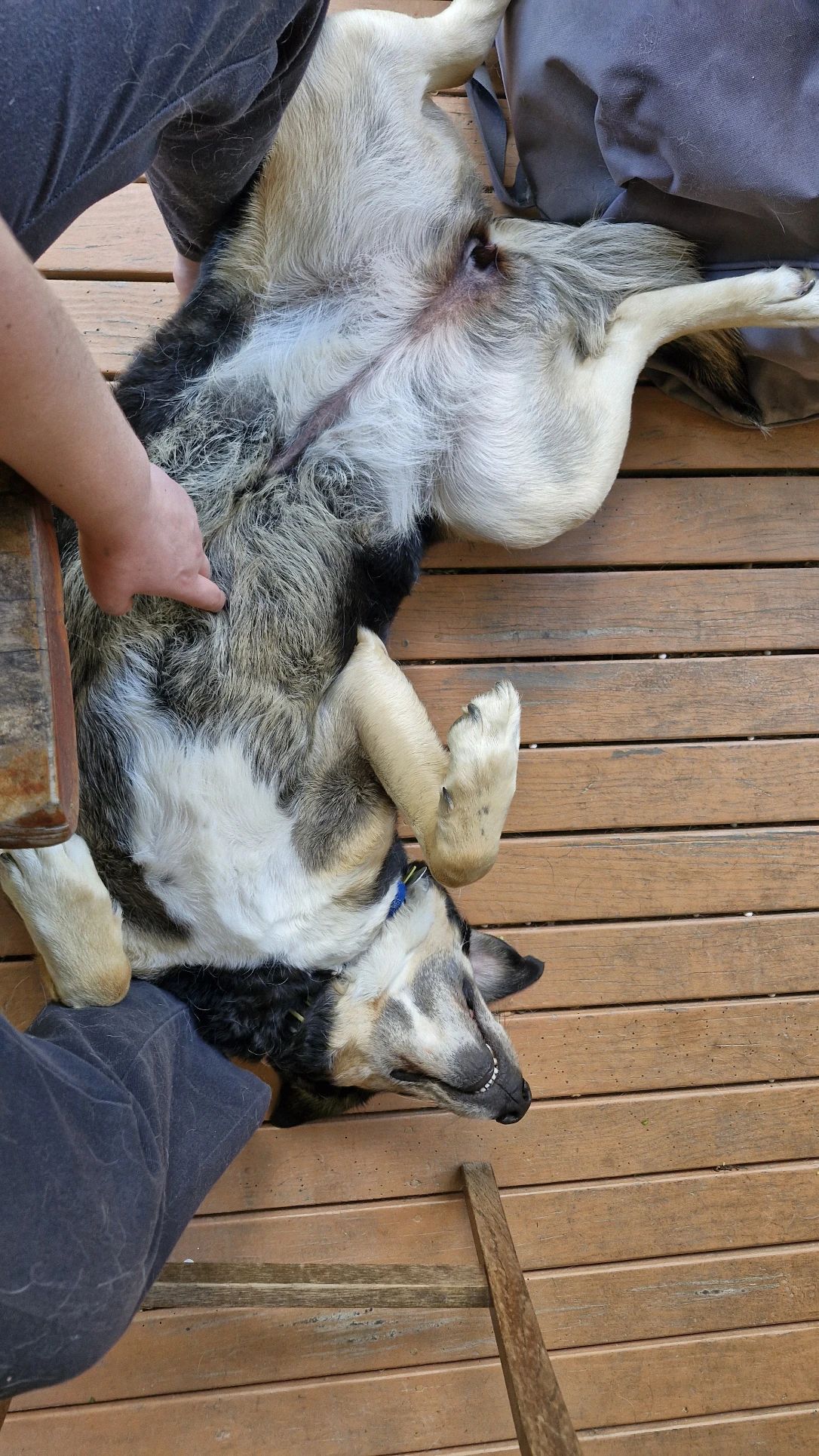 image-7